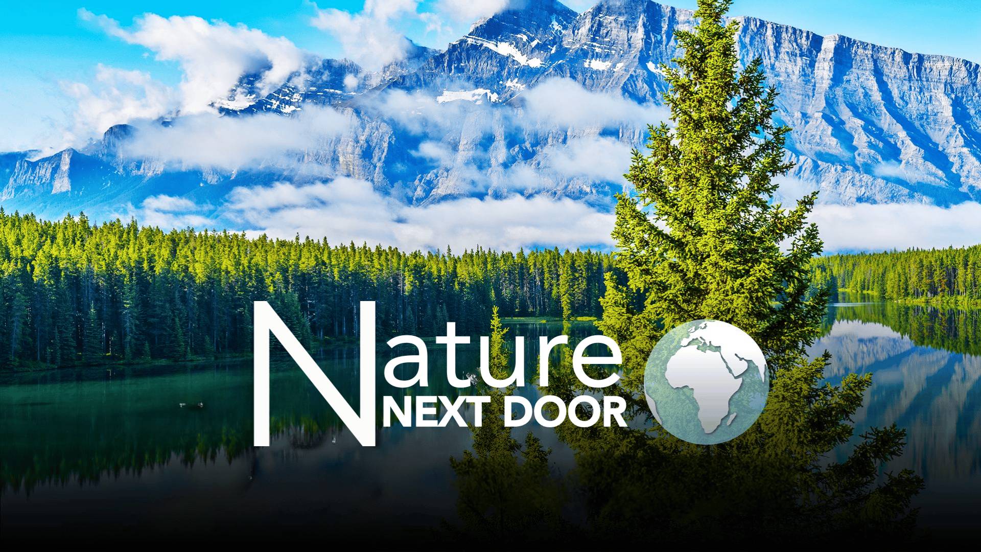 Nature Next Door
