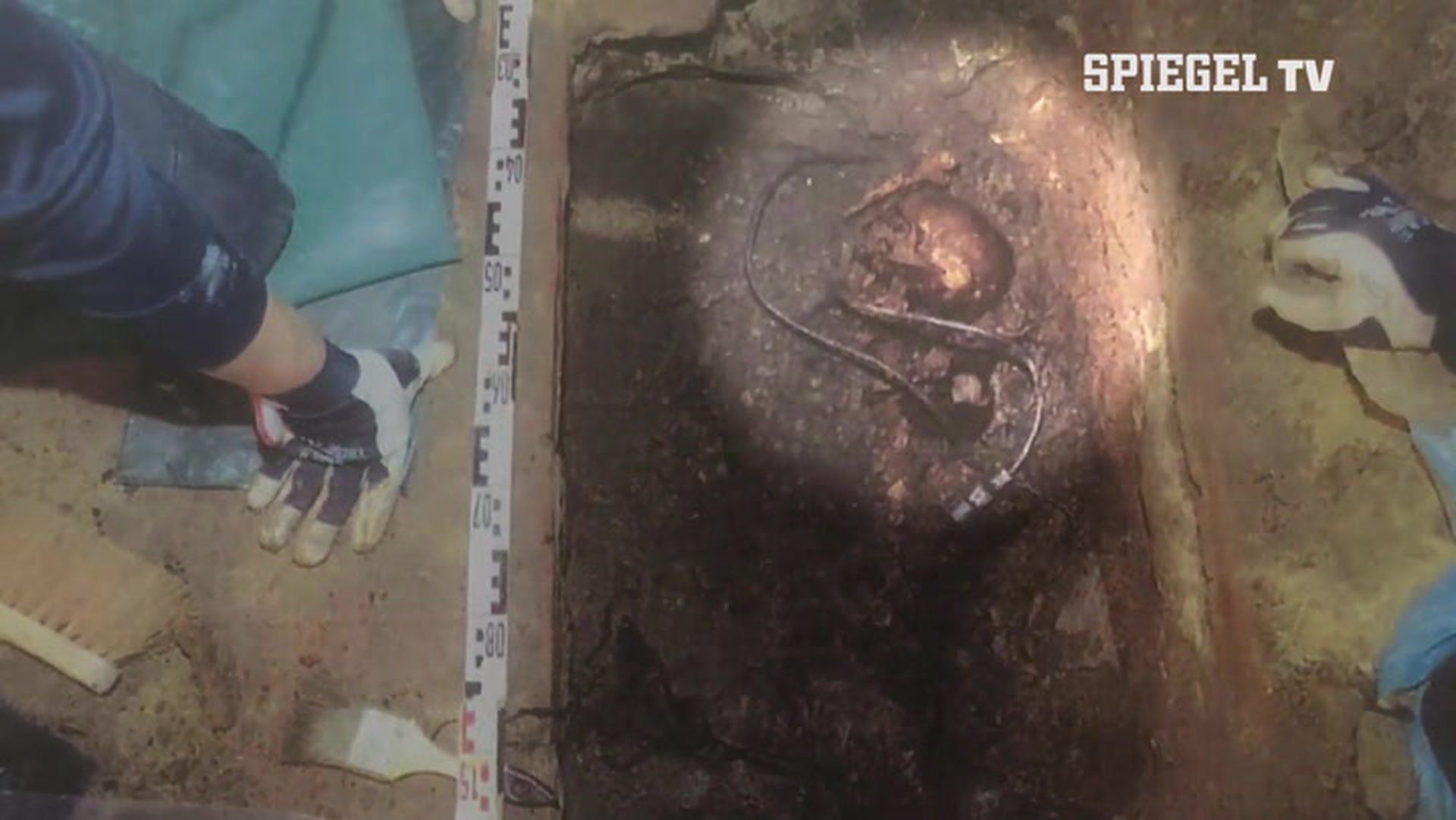 Rätselhafte Morde: Die Suche nach der Wahrheit