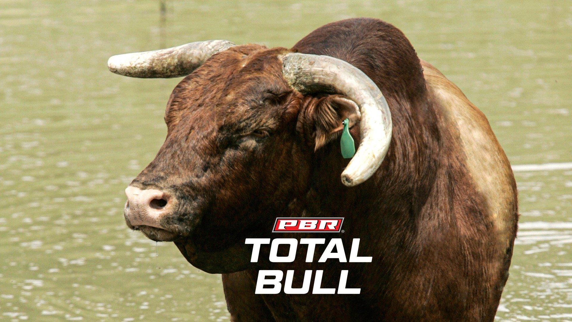 PBR Total Bull