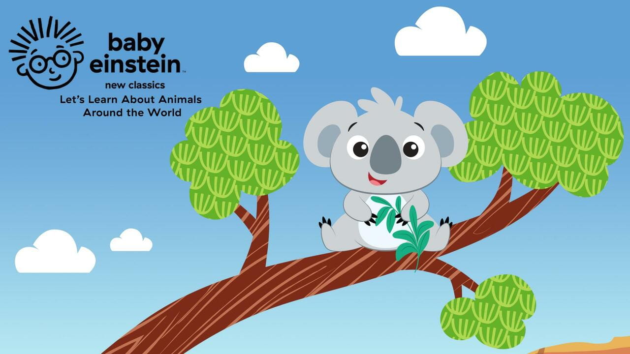 Baby Einstein