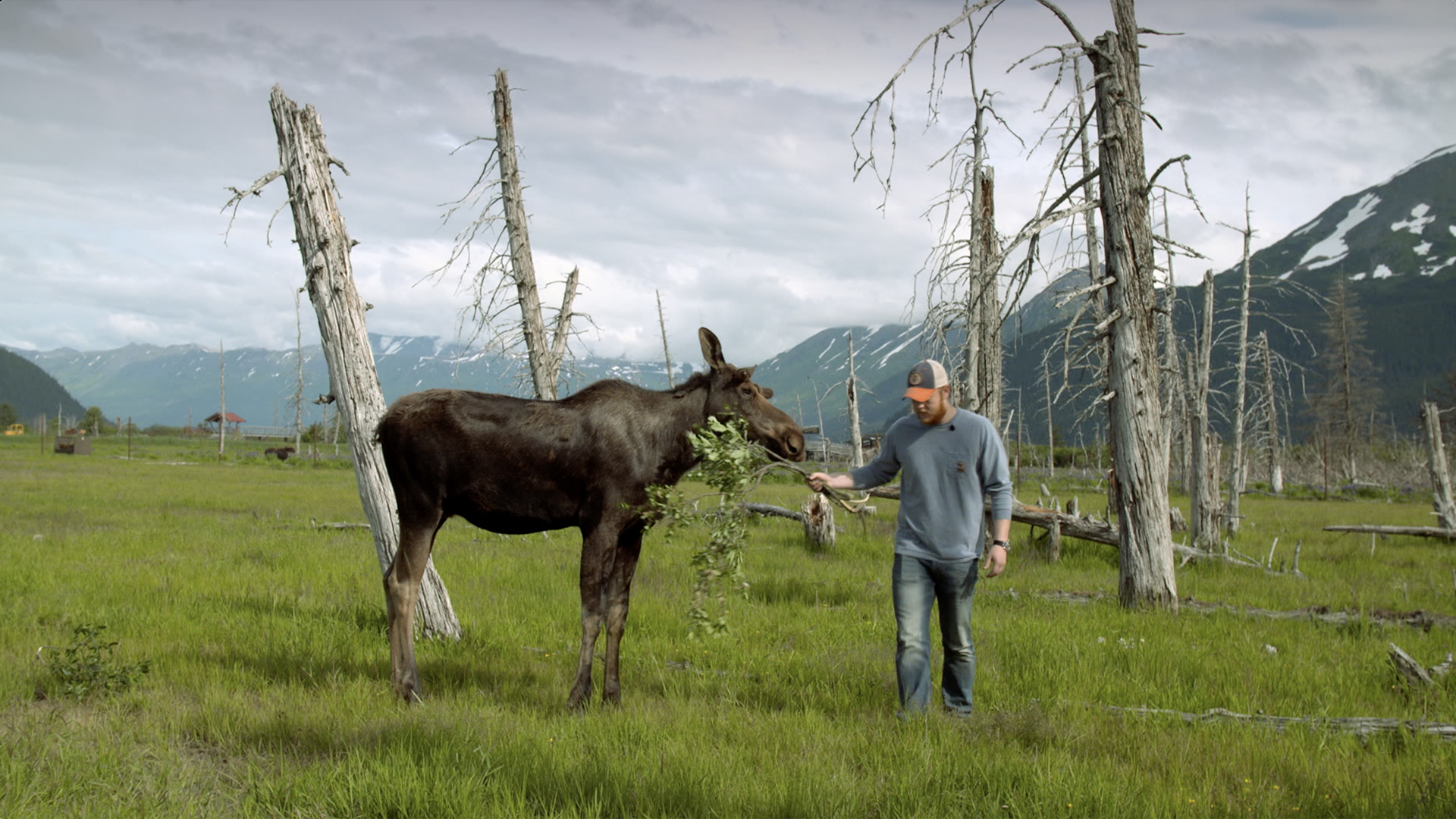 World's Wildest City: Anchorage