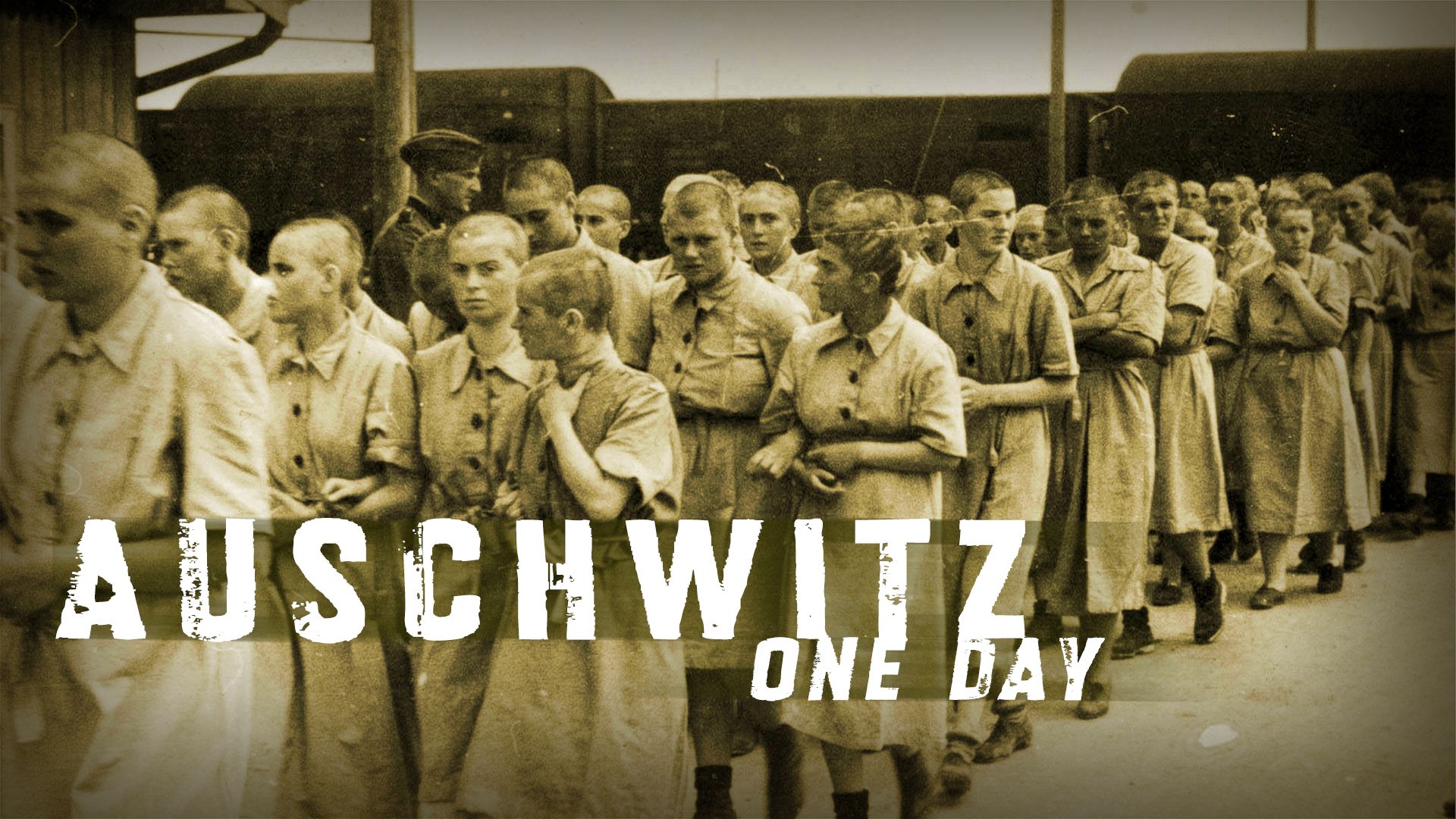 Auschwitz One Day