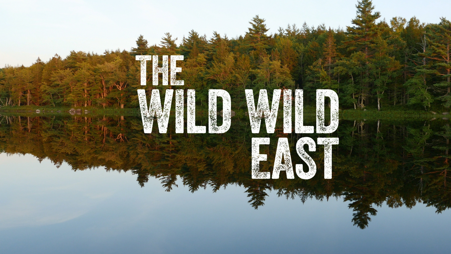 Wild Wild East