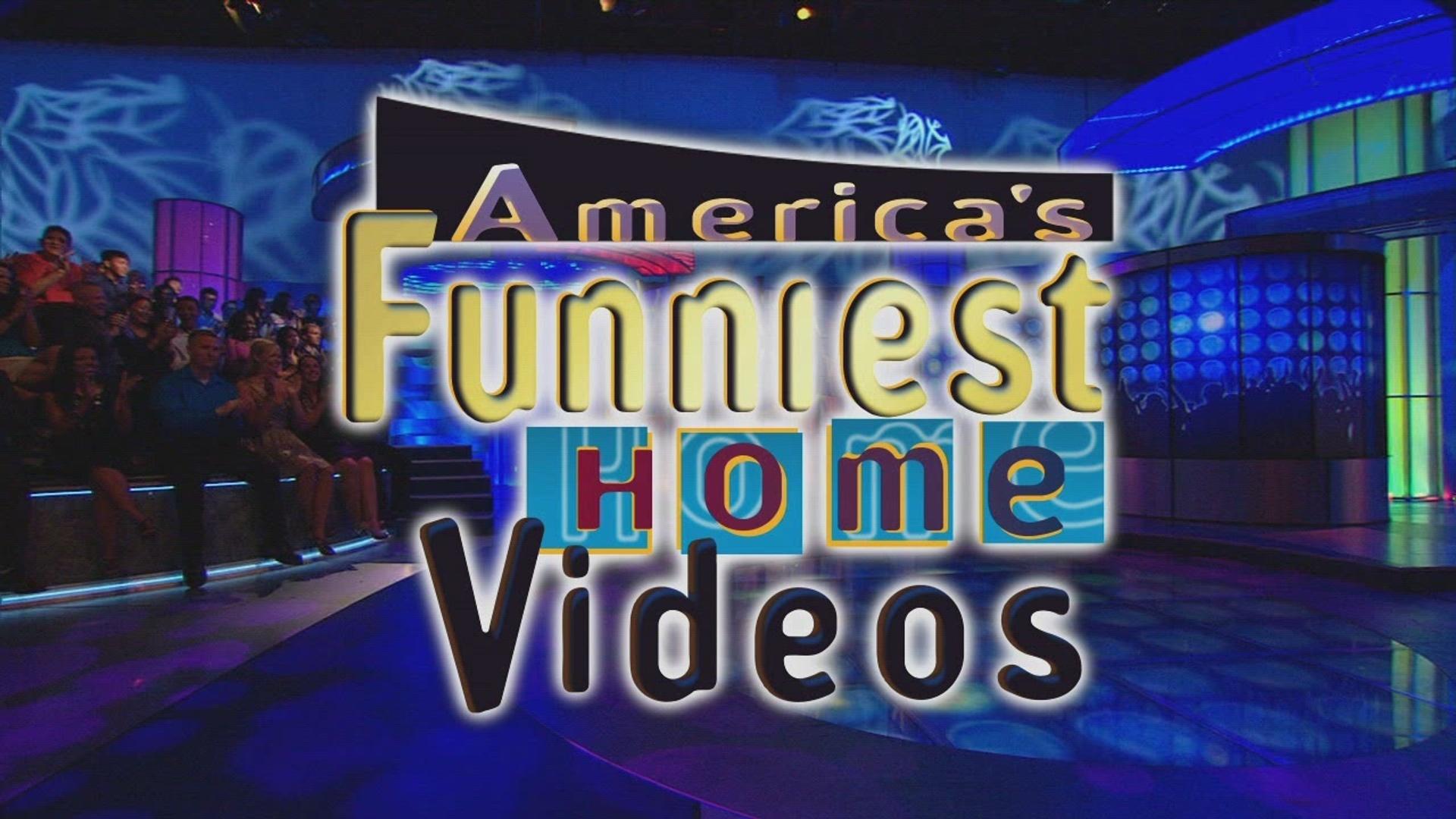 America's Funniest Home Videos