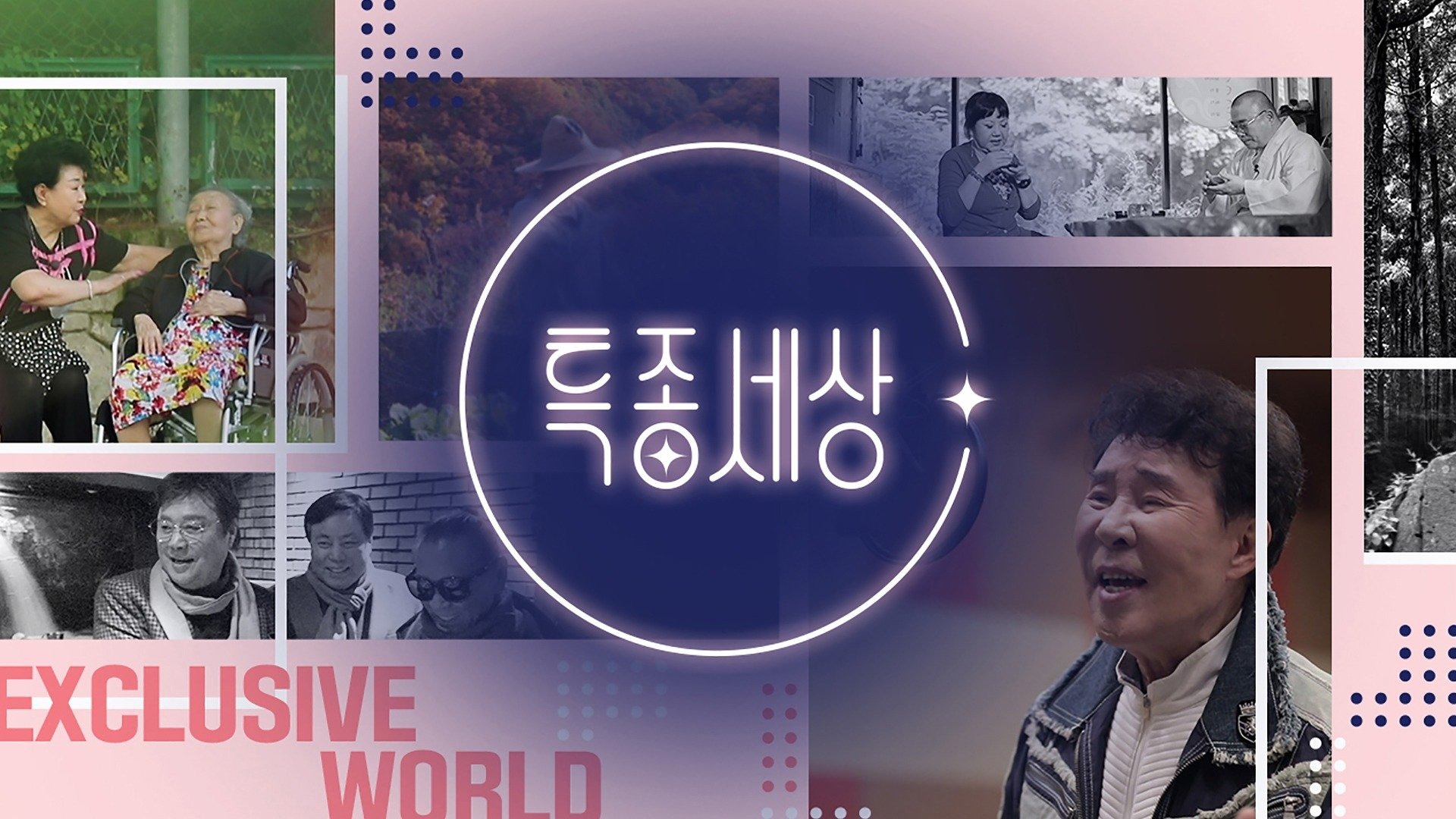 현장르포 특종세상