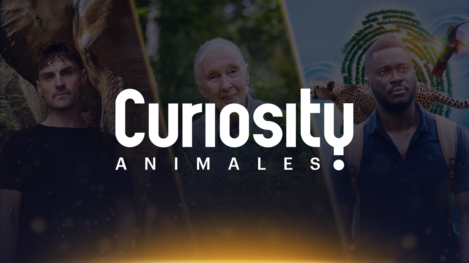 Conociendo a los Marsupiales