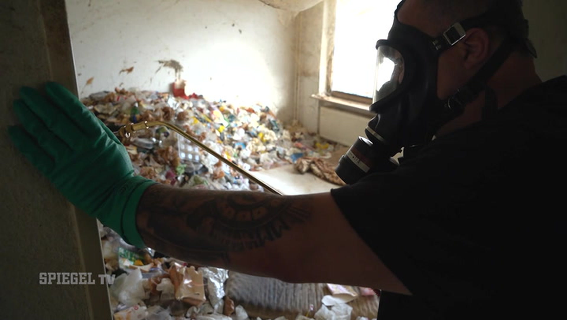 Der Kammerjäger (2): Zwischen Kot, Kadavern und Käfern