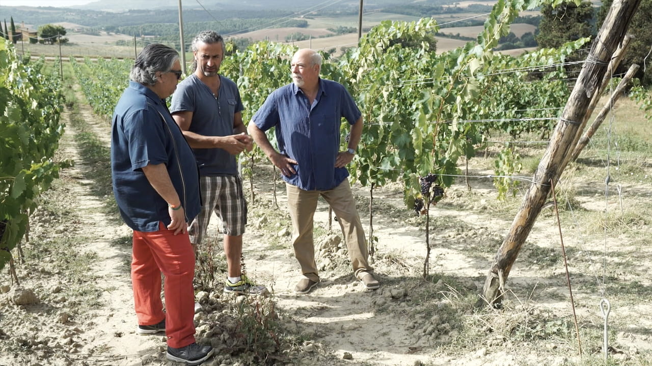 The Wine Guys: Grape Escapes