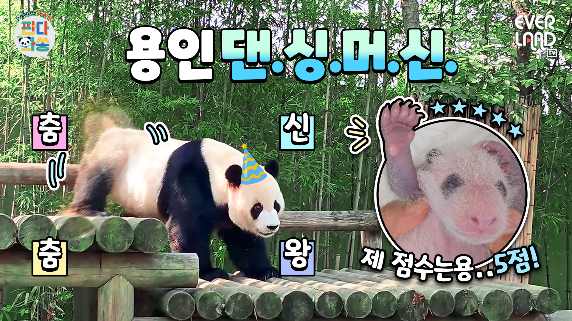 판다월드 쾌남 생일 세젤멋 낭만판다 러바오가 입천장에 숨겨 왔던 '이것' 공개