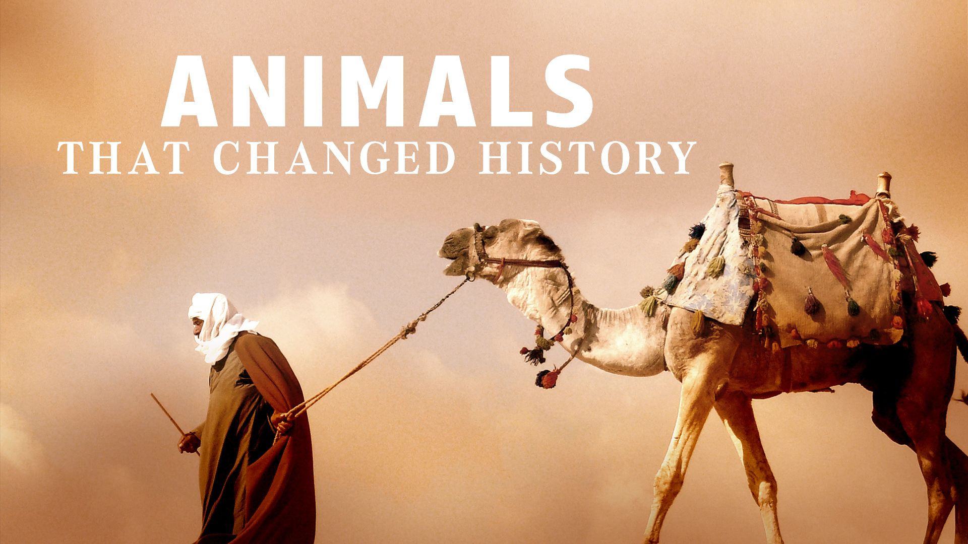 Animals That Changed History