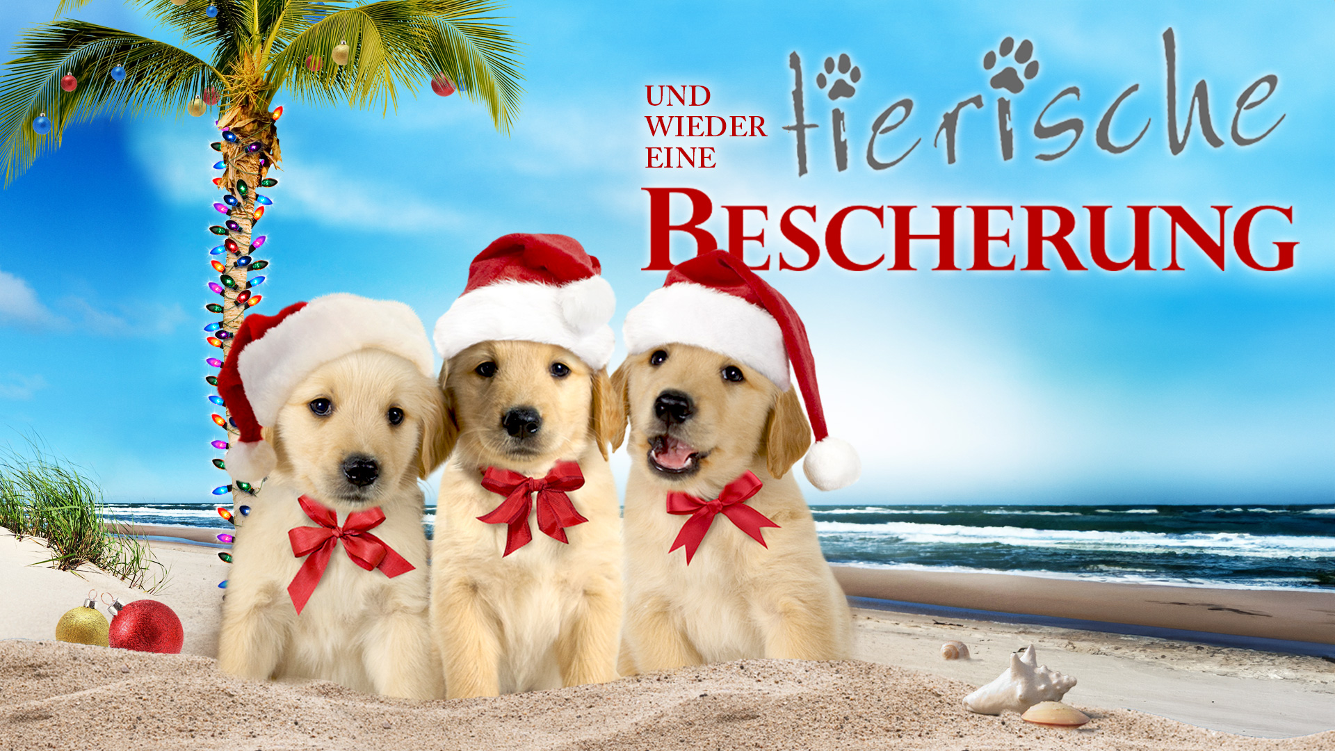 Und wieder eine tierische Bescherung