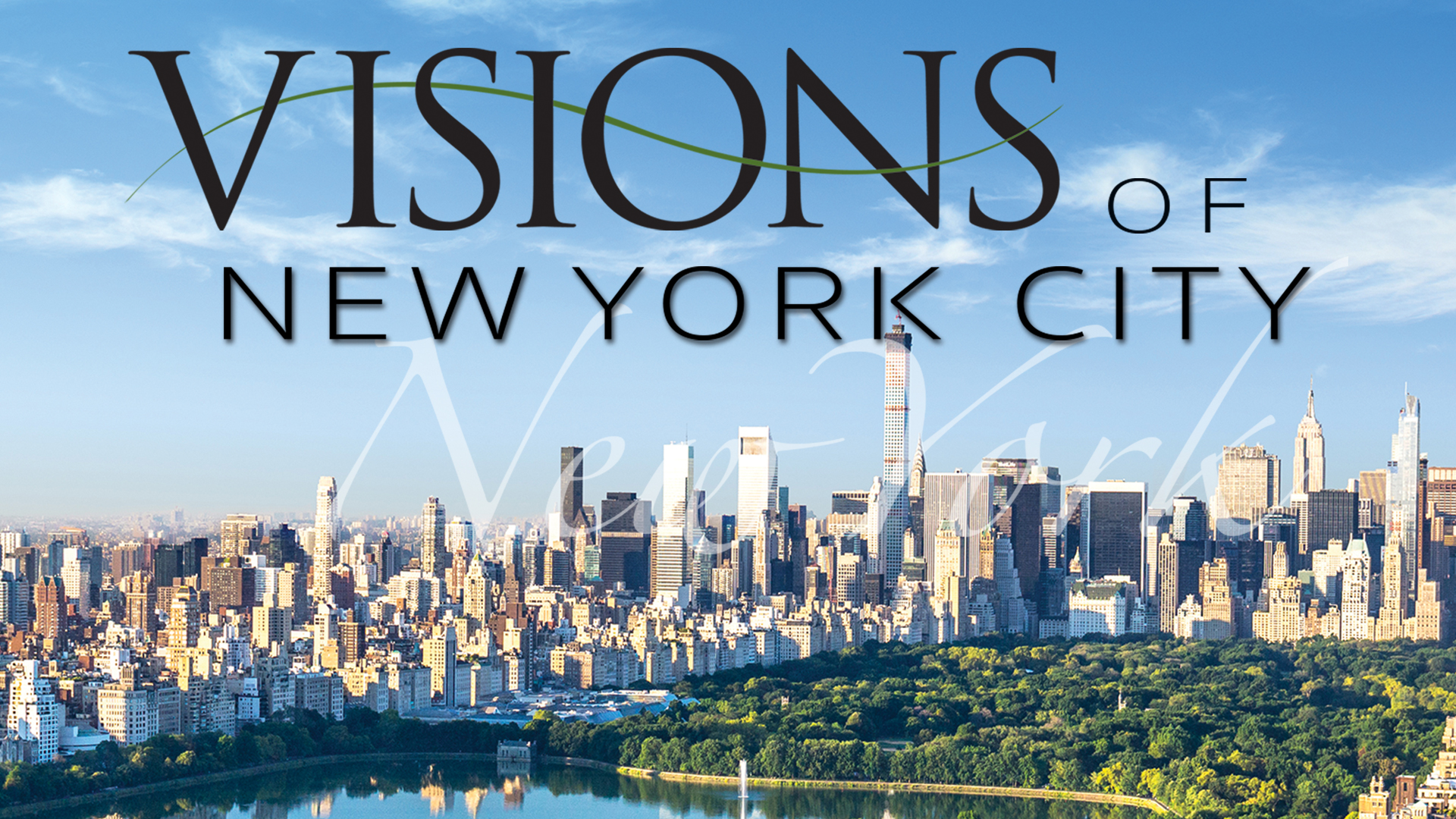 Visions of New York City