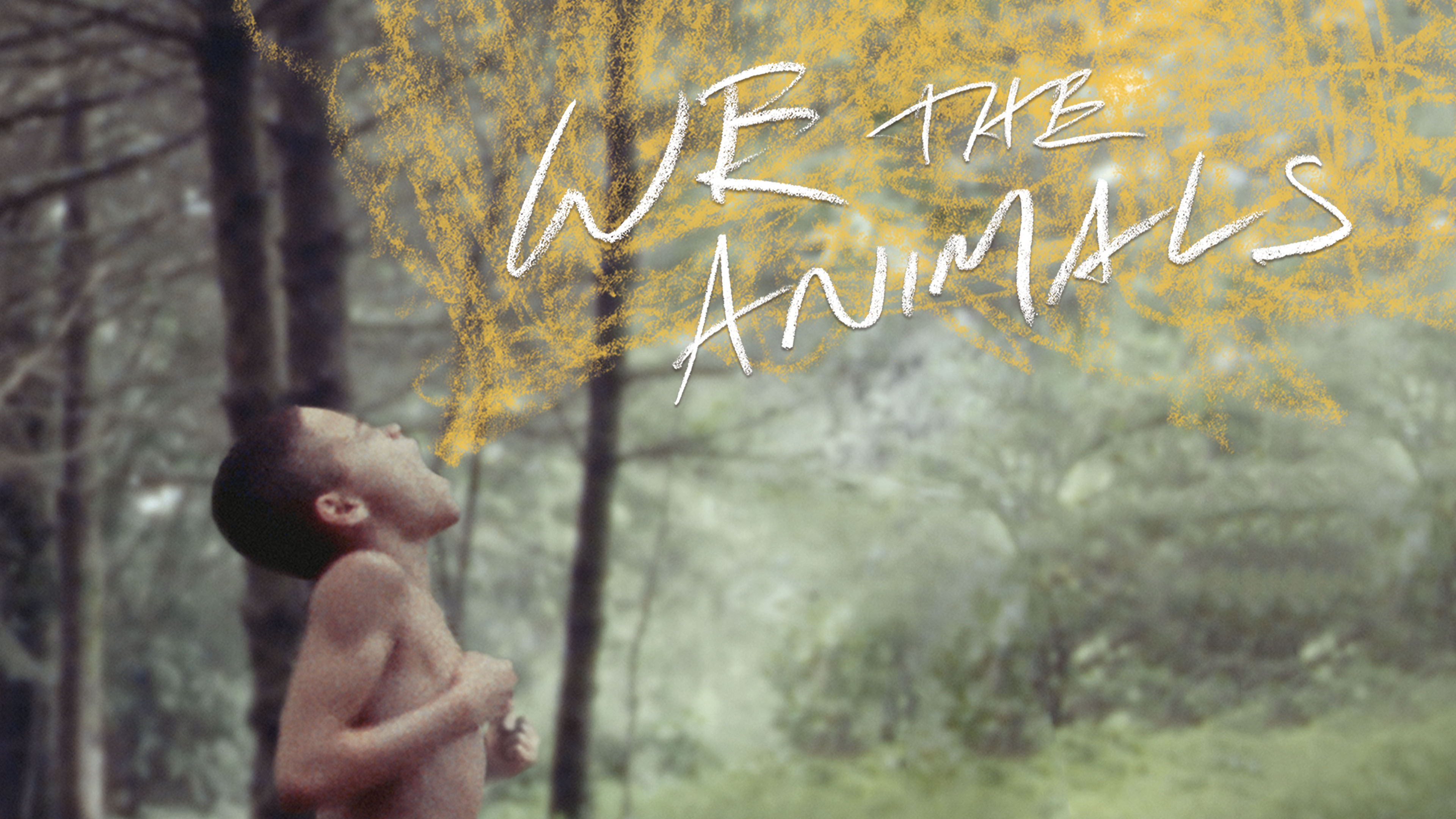 We the Animals