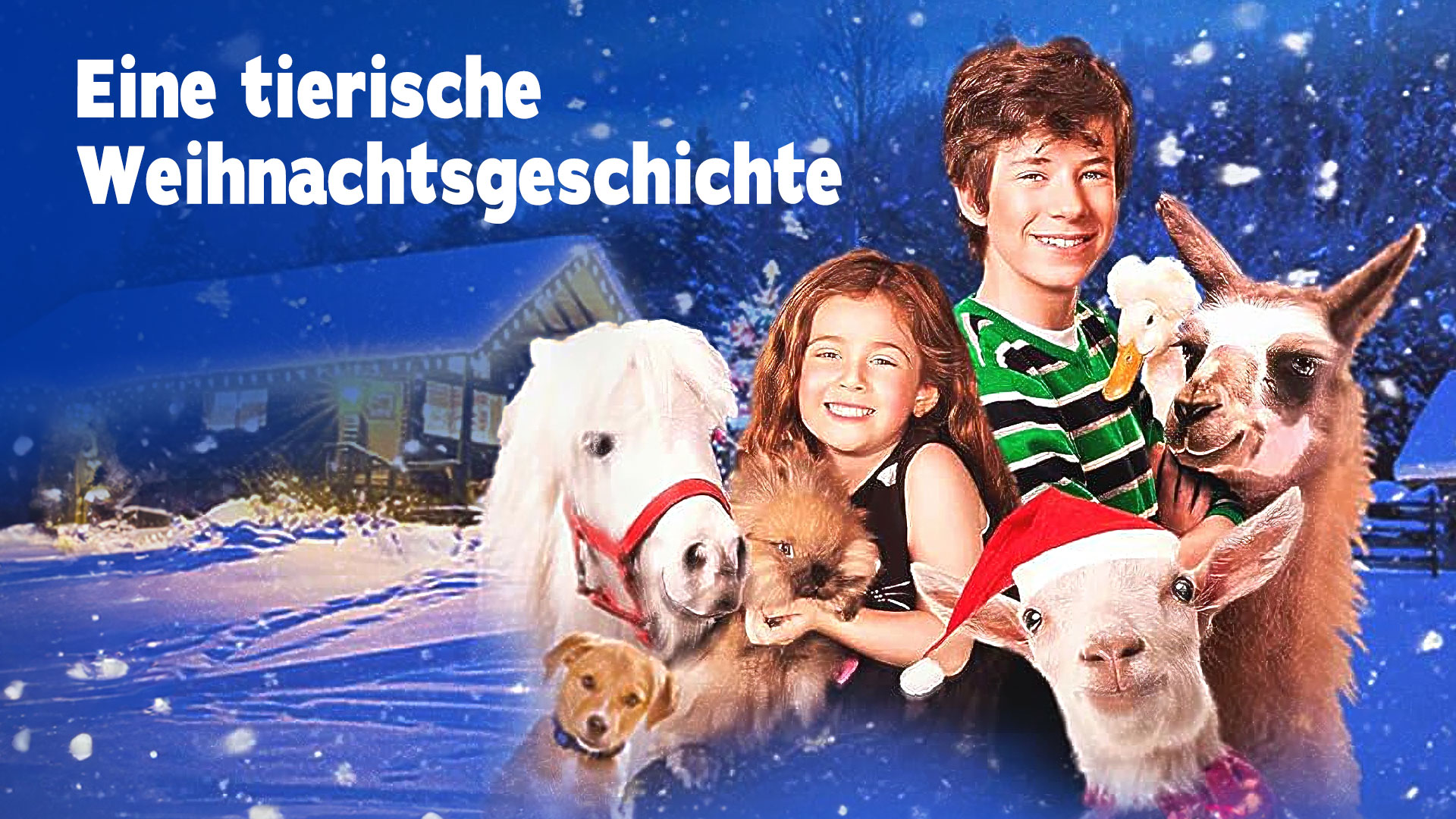 Eine tierische Weihnachtsgeschichte