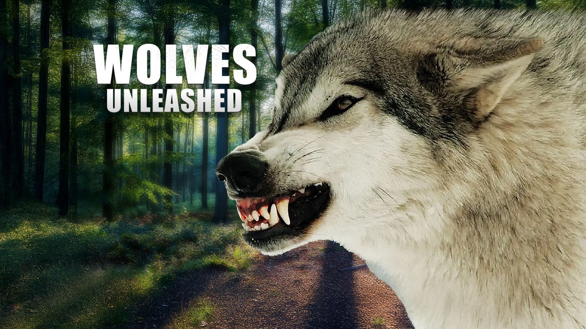 Wolves Unleashed