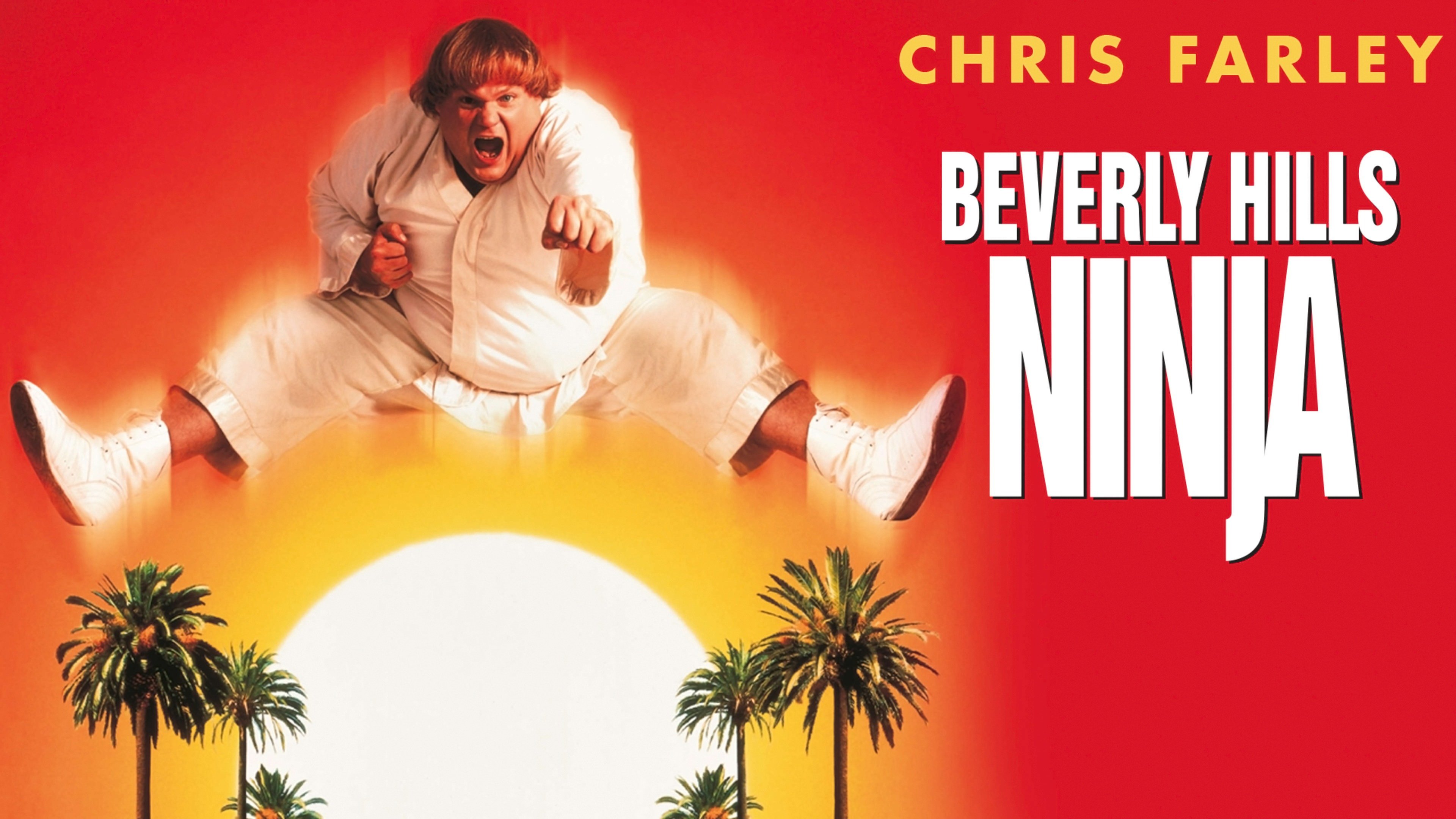 Beverly Hills Ninja
