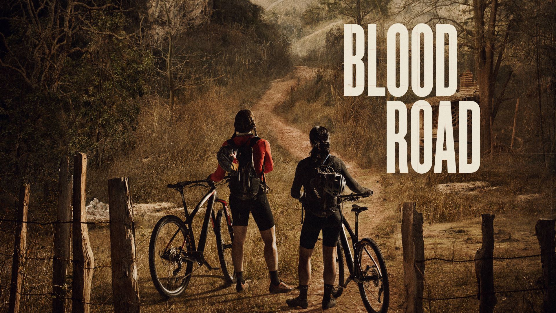 Blood Road