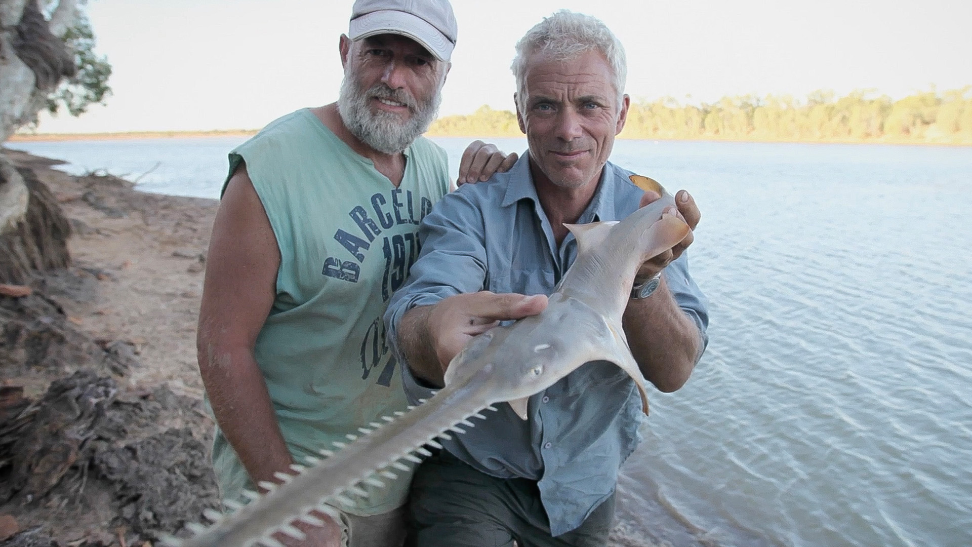 Der australische Süßwassersägerochen