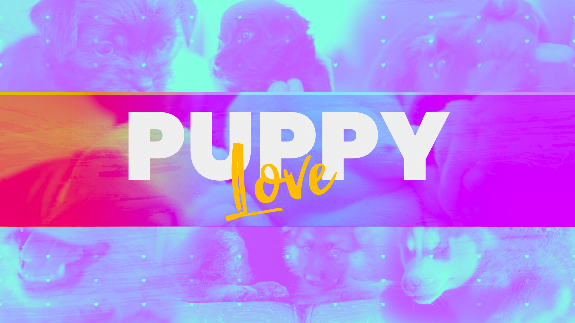Puppy Love