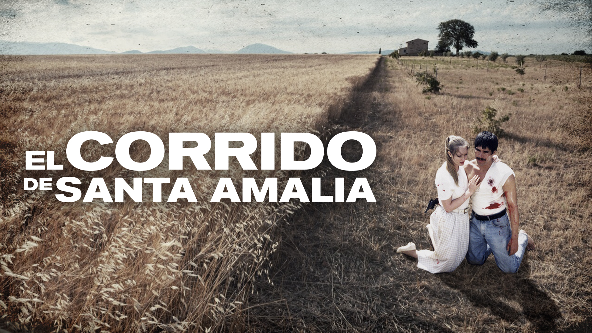 El Corrido De Santa Amalia