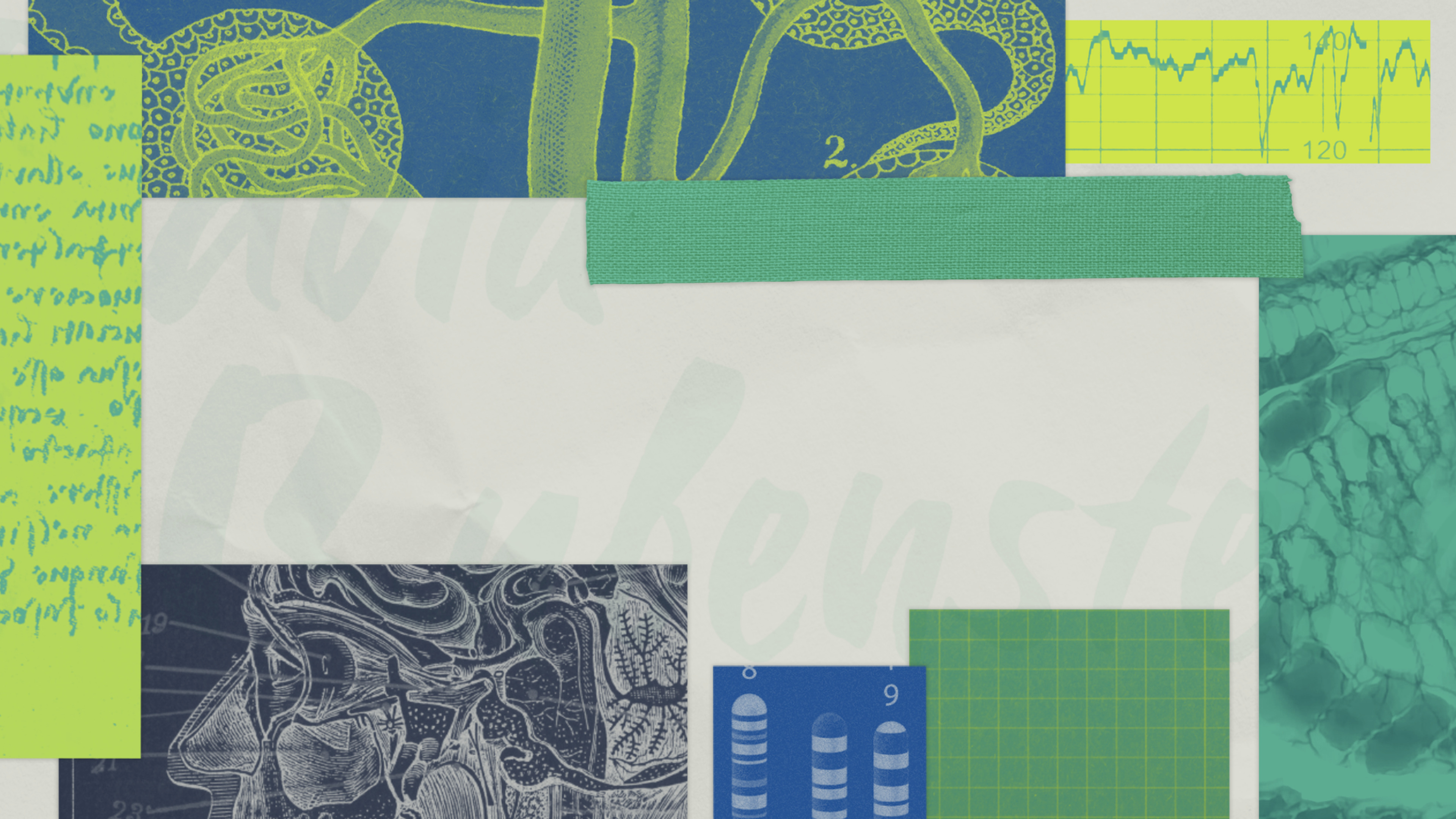 Longevity With David Rubenstein