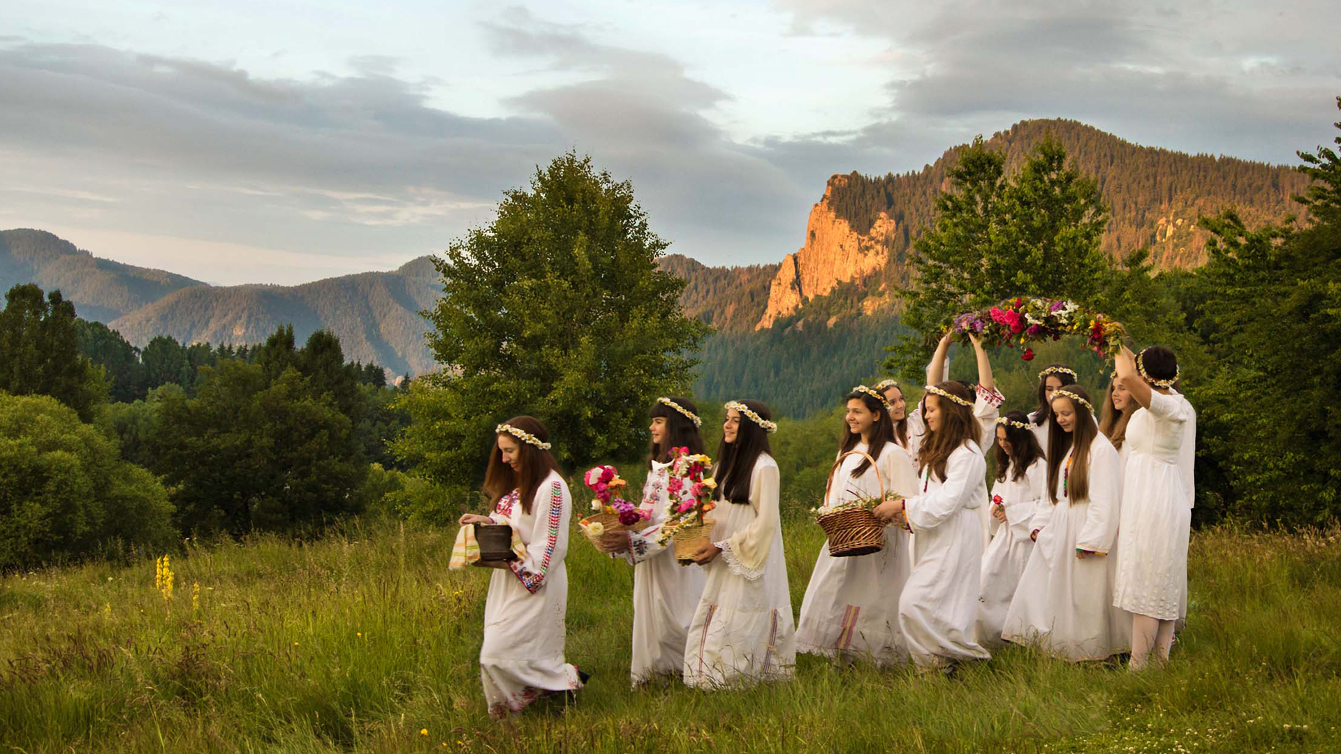 The Secret world of Herbs