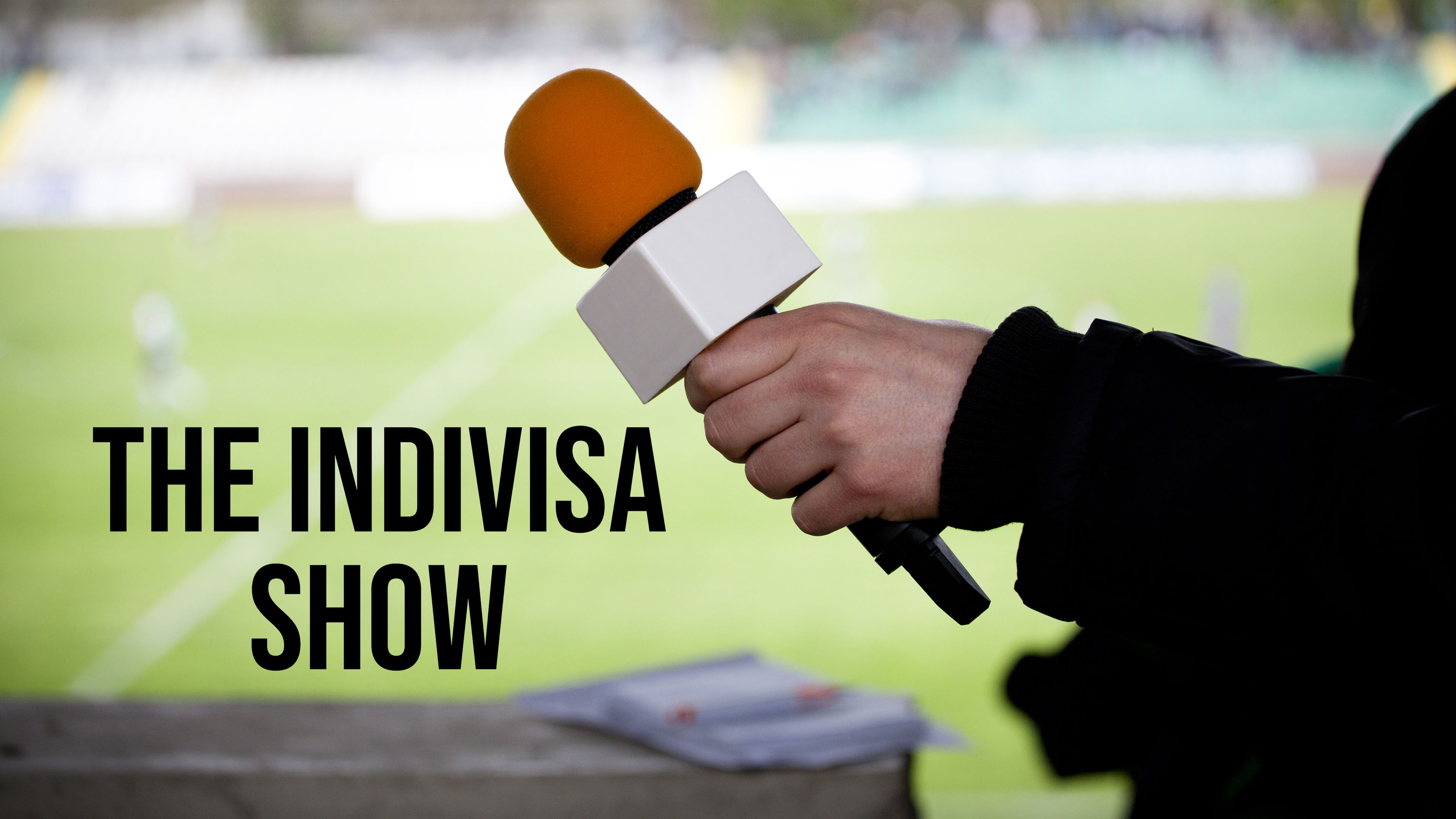 The INDIVISA Show
