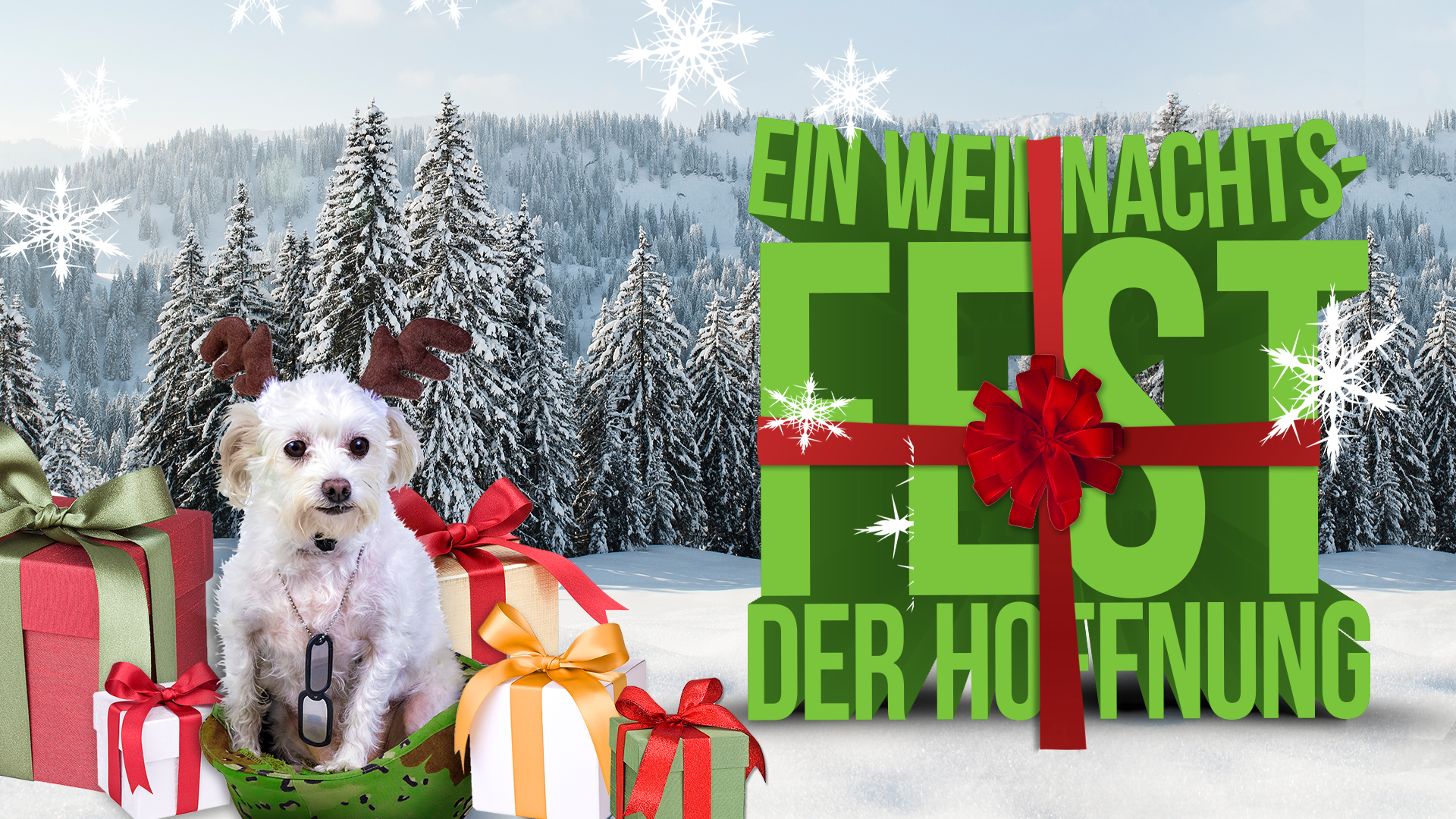 Ein Weihnachtsfest der Hoffnung
