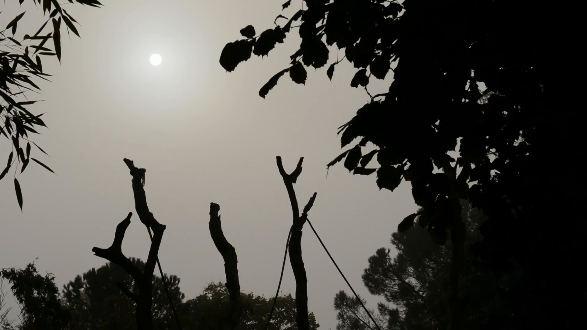 Zoo : Le défi de demain