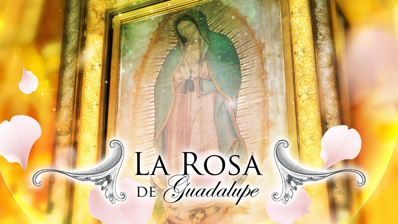 La rosa de Guadalupe: La Energía del Corazón