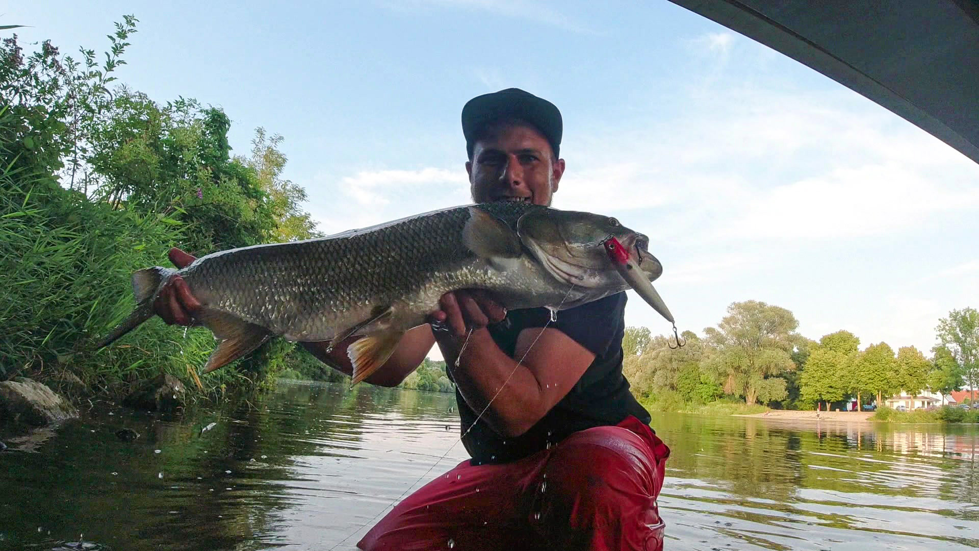 Topwaterangeln im Juli