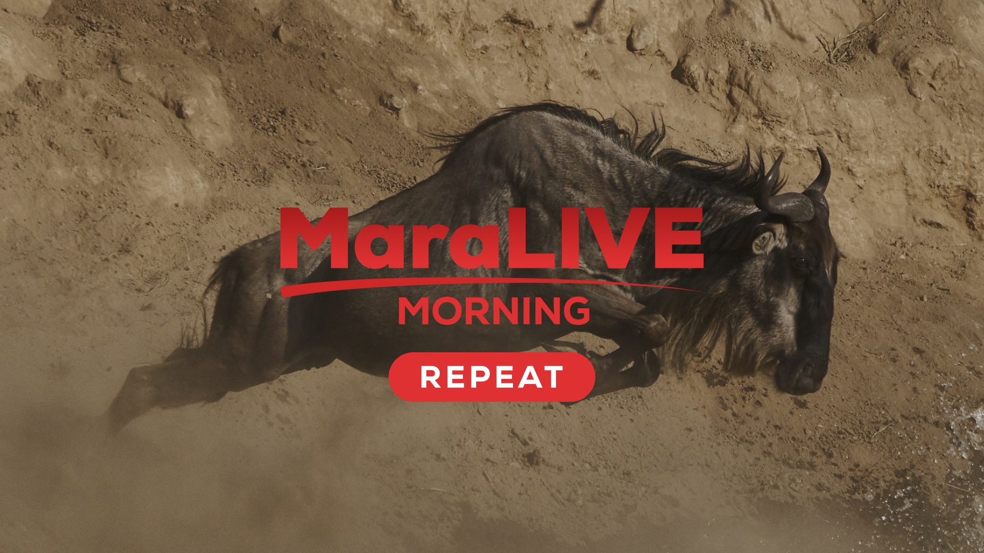 MaraLIVE Morning Repeat
