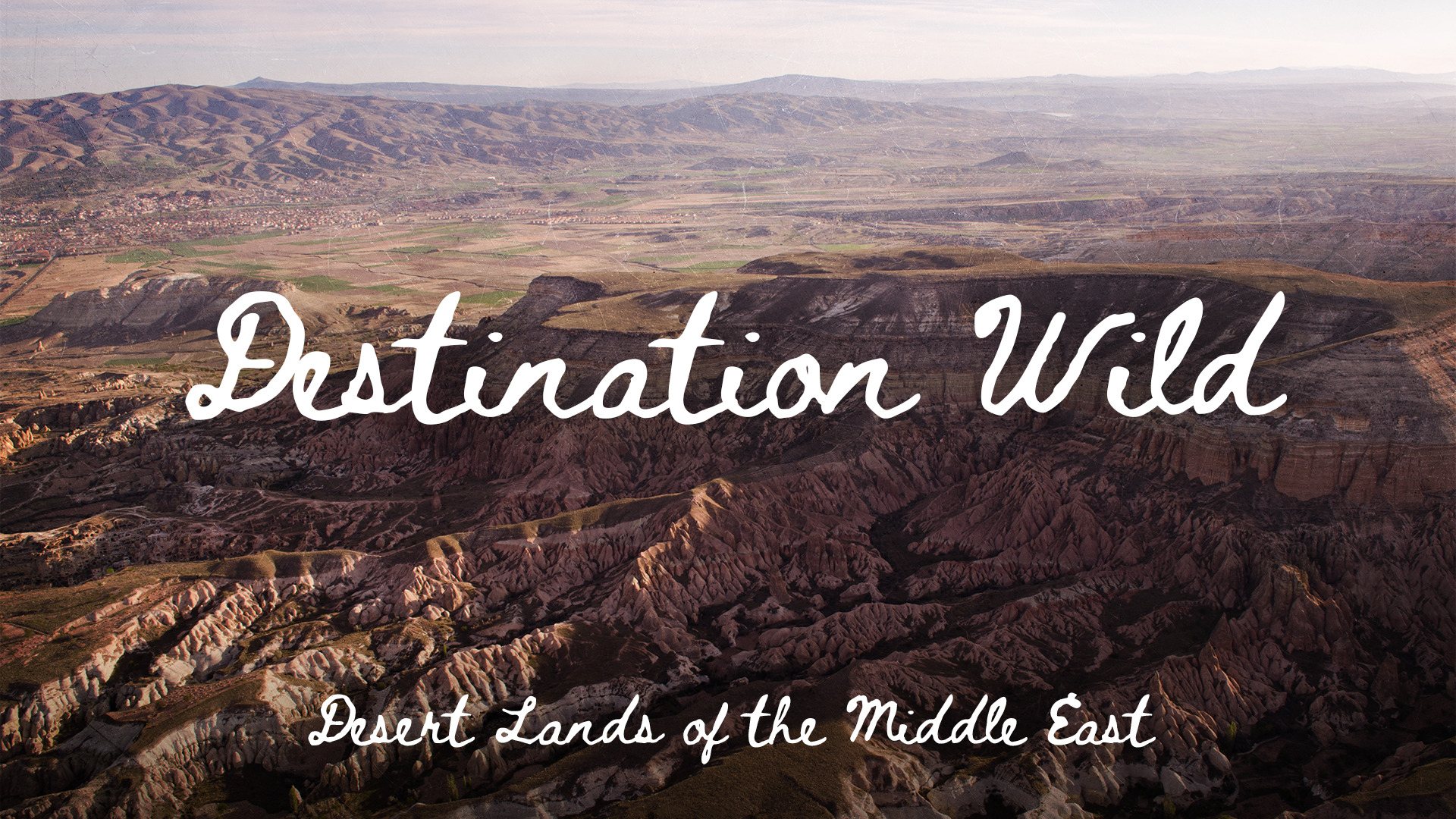 Desert Land of the Middle East