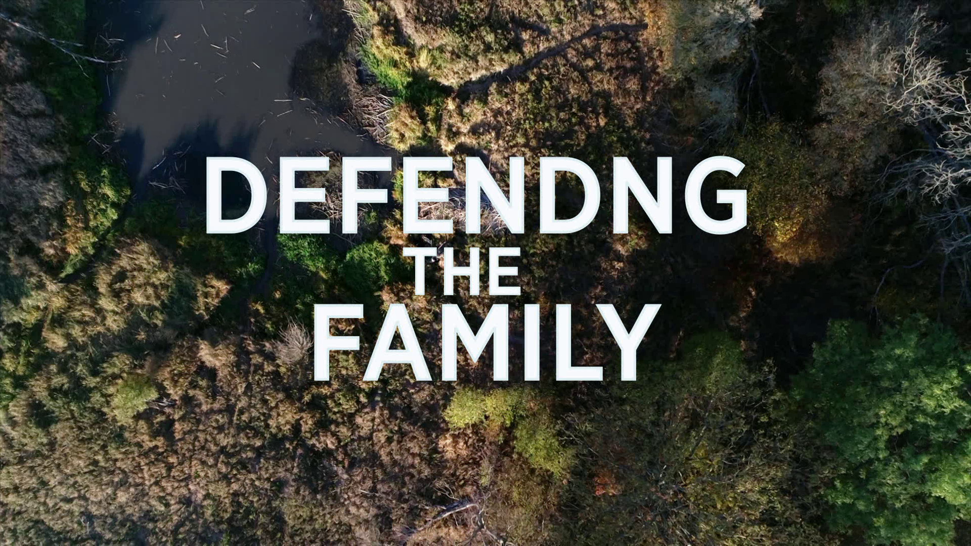 Defending the Family