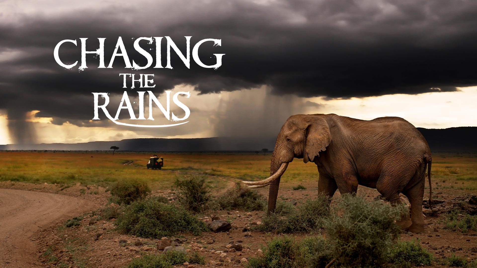 Chasing The Rains