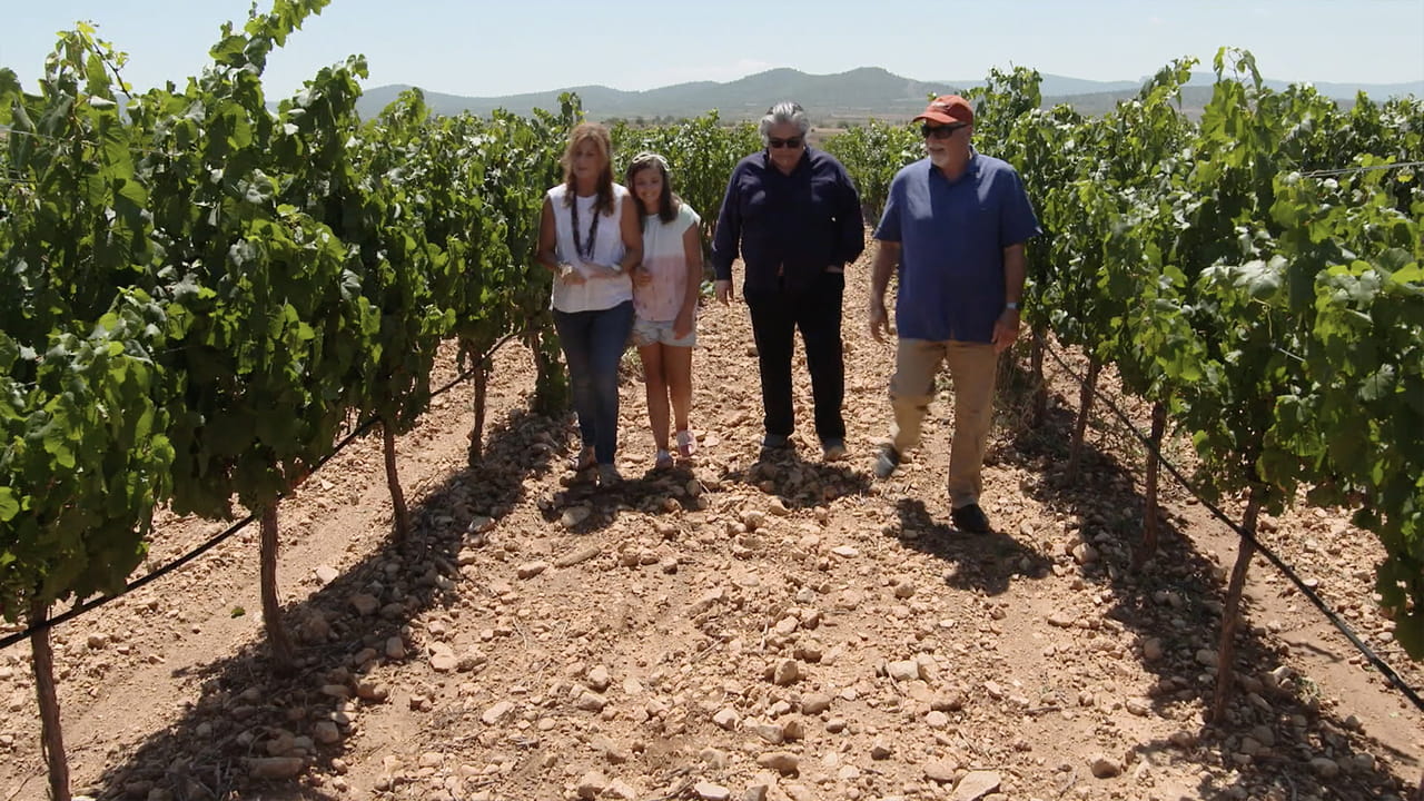 The Wine Guys: Grape Escapes