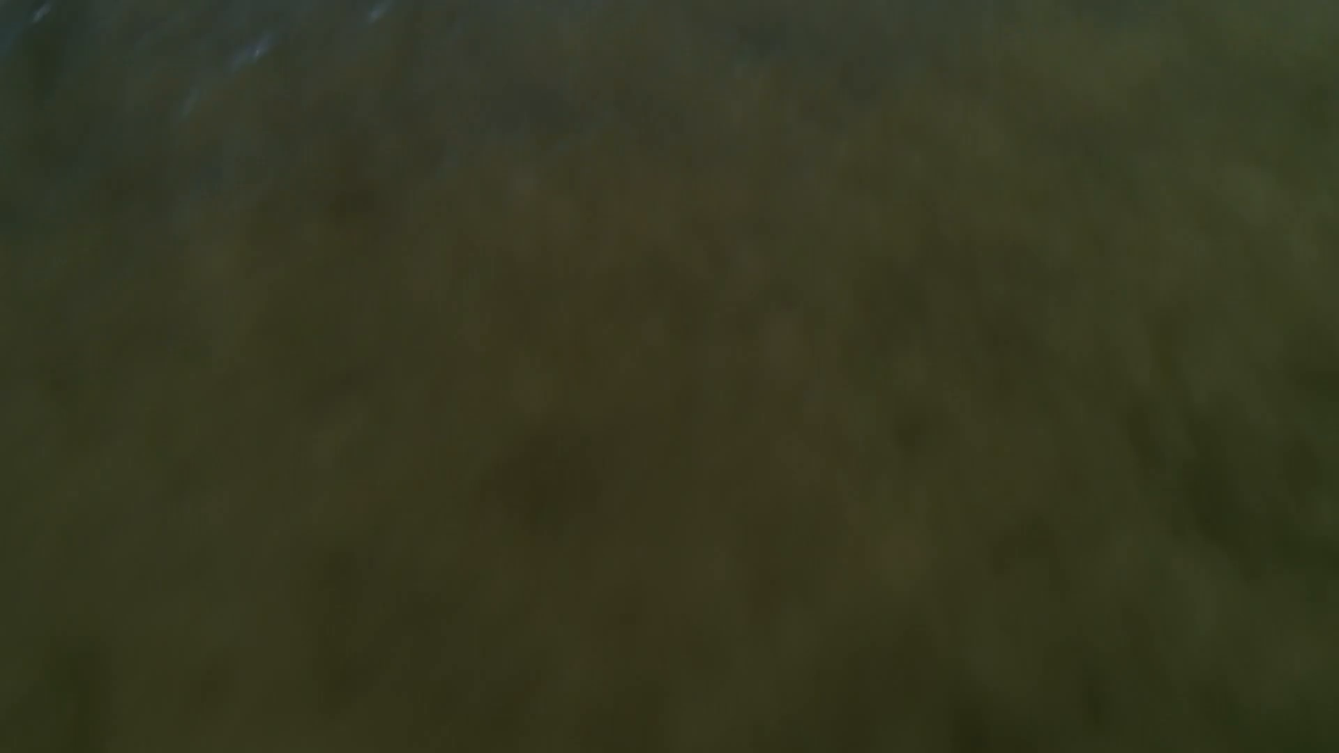 Île de Ré : le pont de tous les records