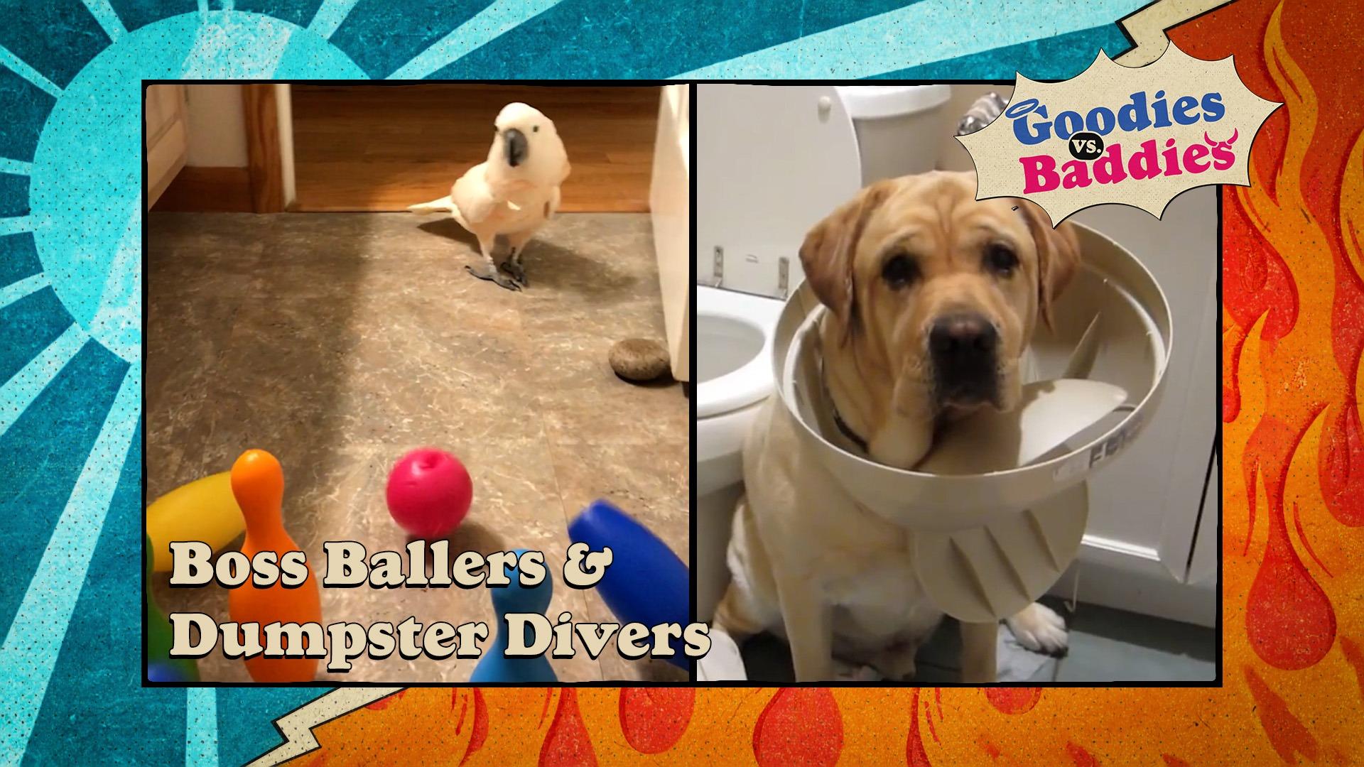 Goodies VS. Baddies | Boss Ballers & Dumpster Divers