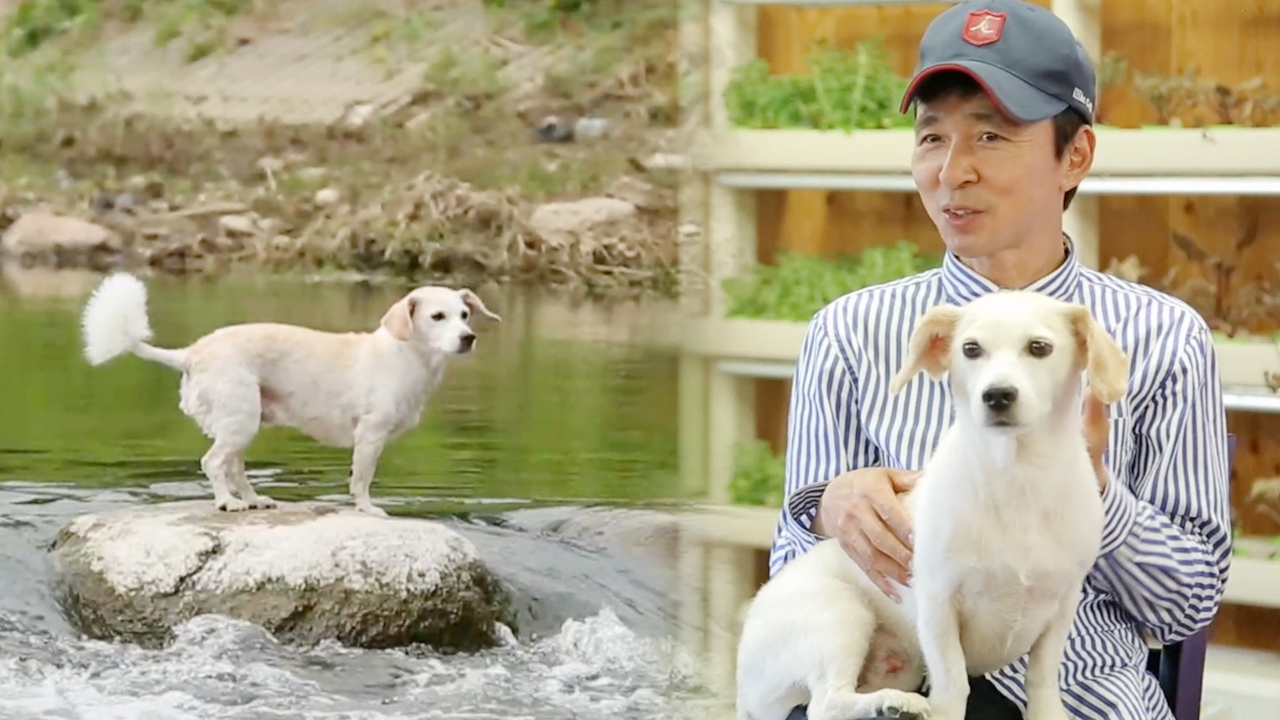 불타는 청춘 118회