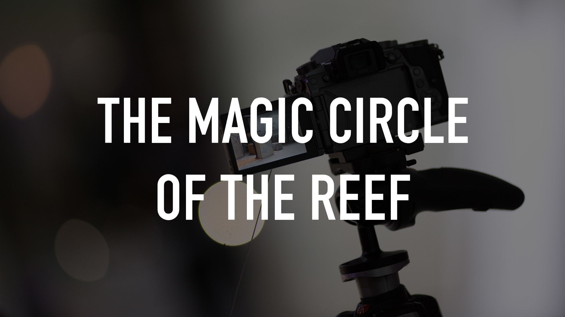 The Magic Circle of the Reef