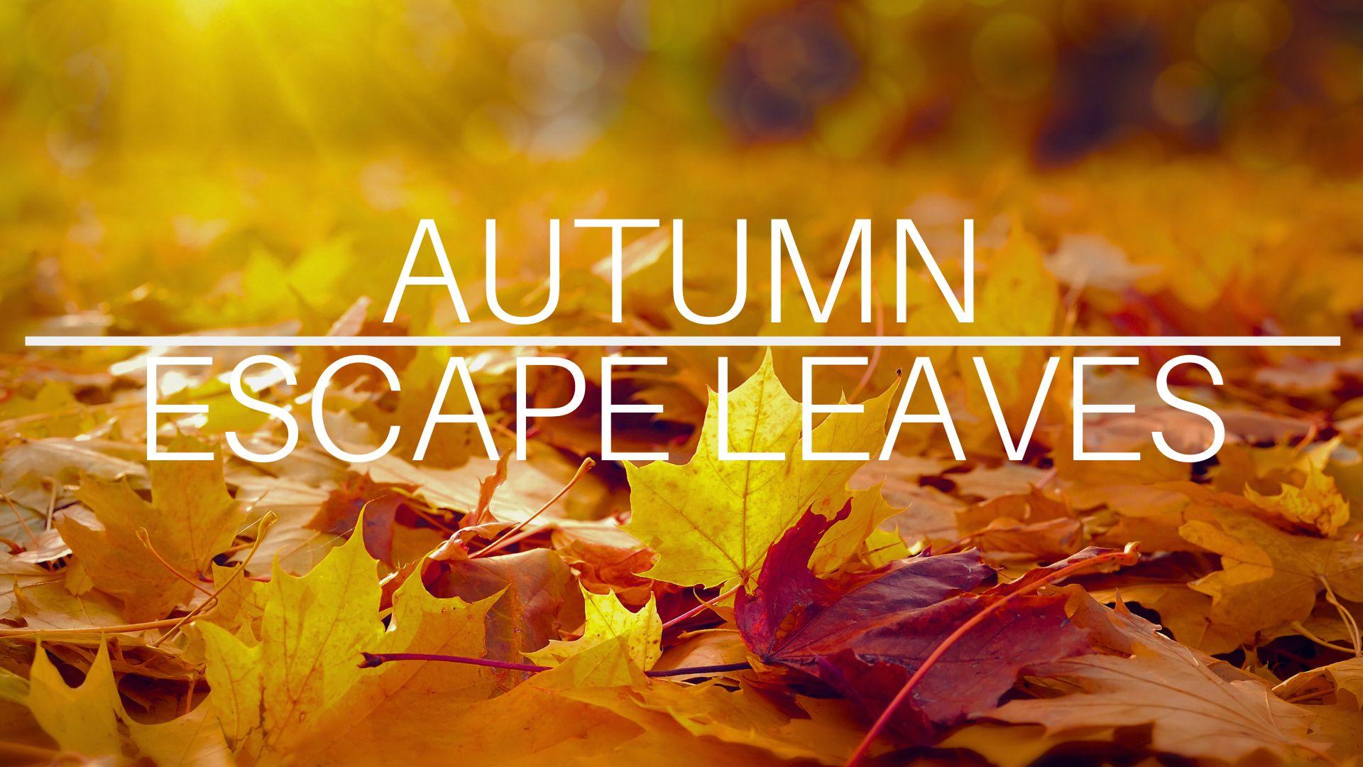 Autumn Escape Leaves