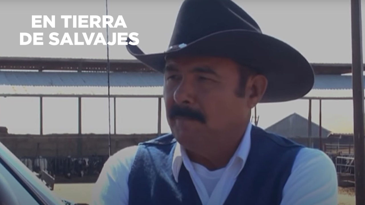 En tierra de salvajes