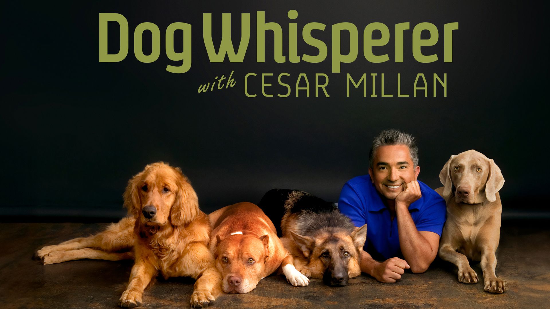 Dog Whisperer with Cesar Millan