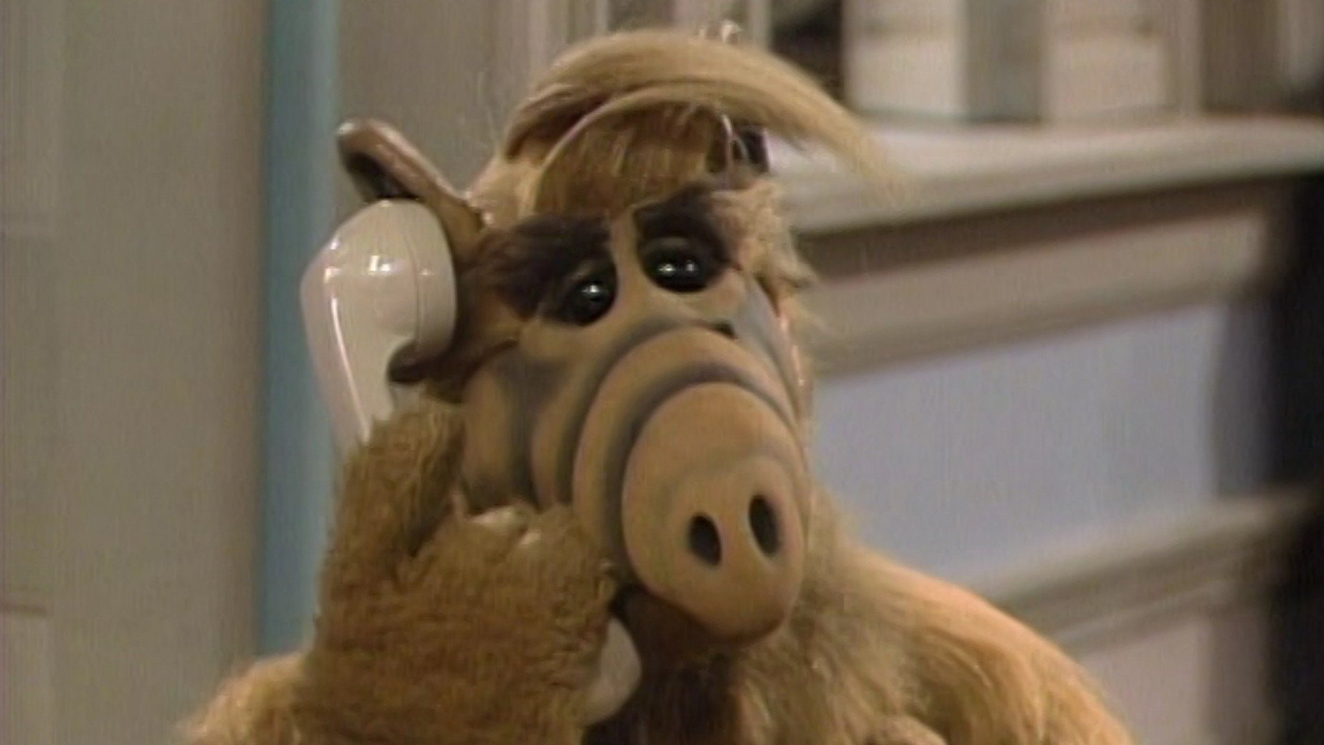 ALF