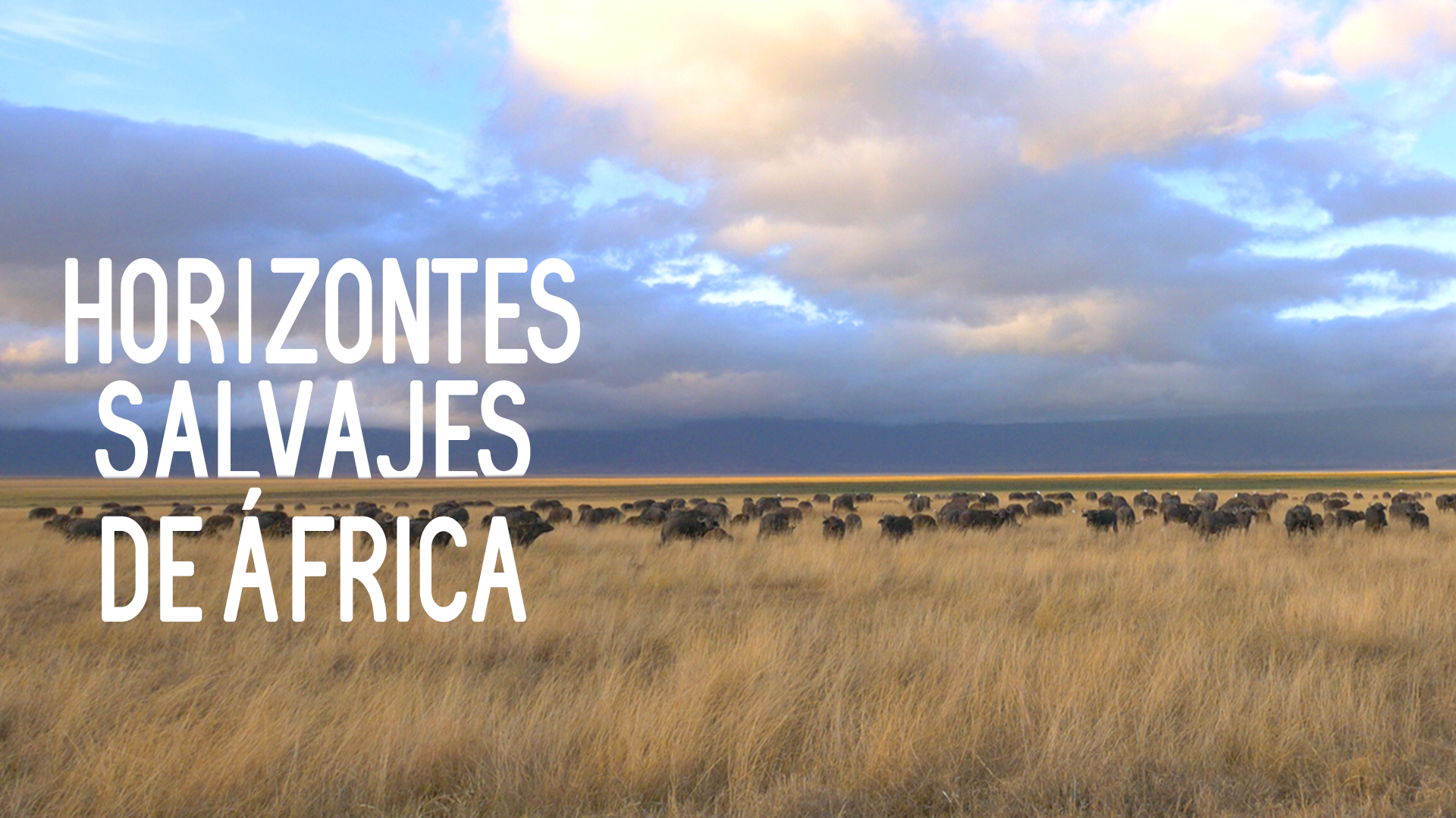 Horizontes Salvajes de África
