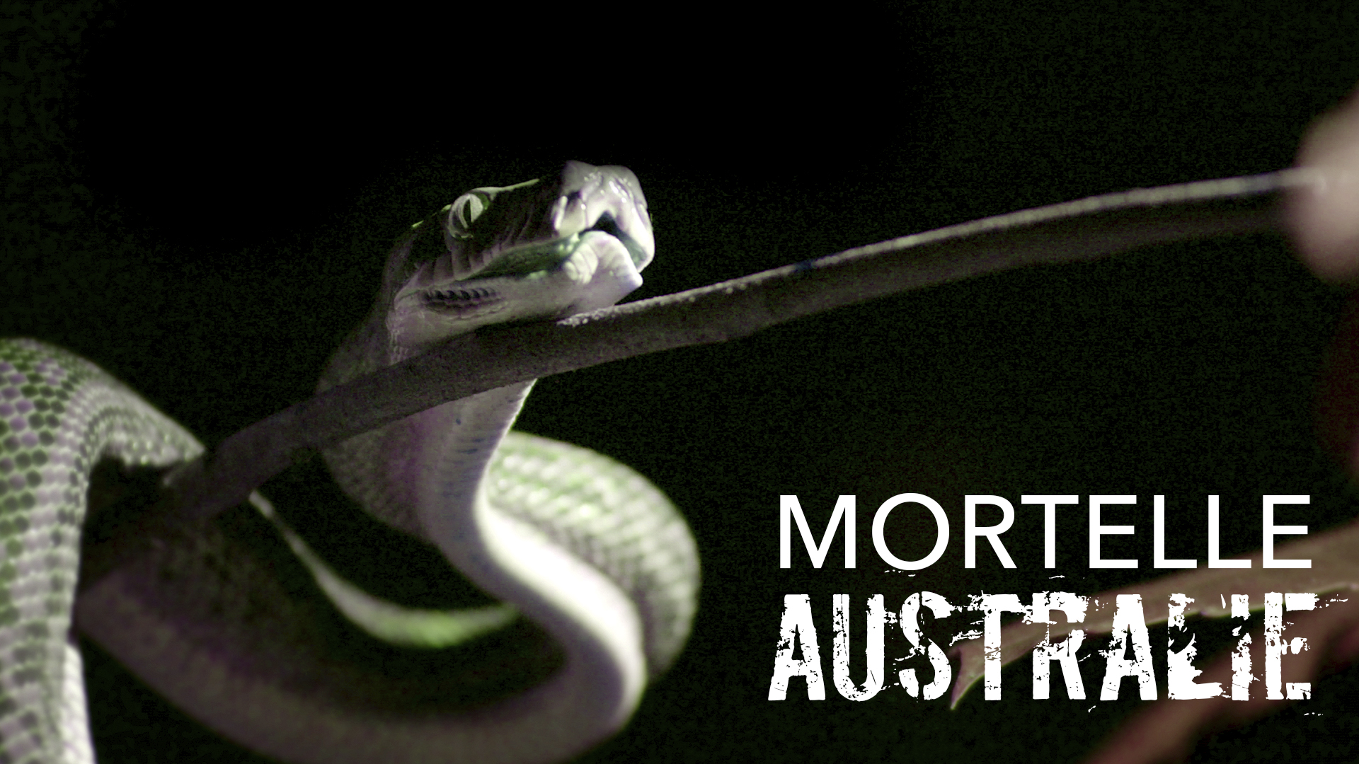 Mortelle Australie