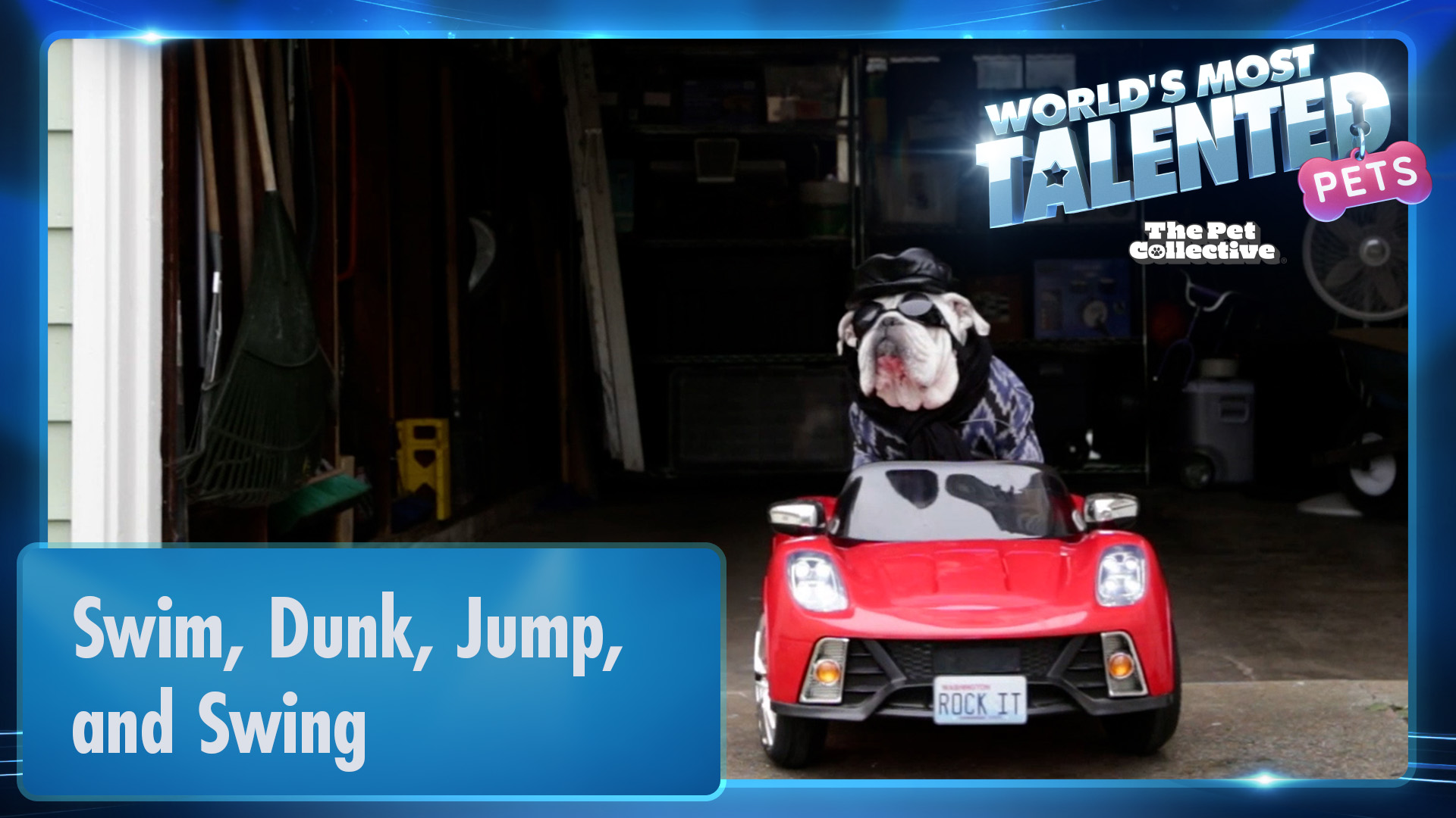 World's Most Talented Pets