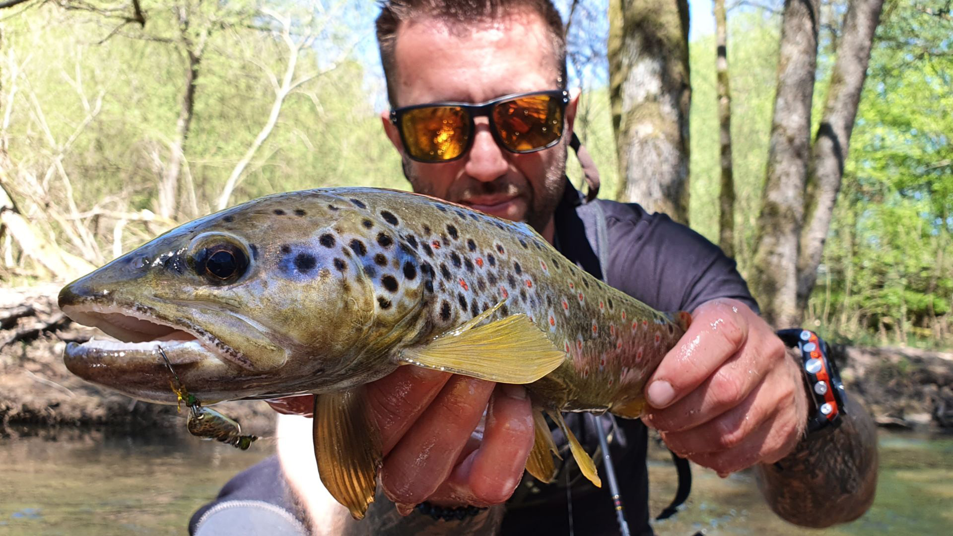 Forellenangeln am Bach