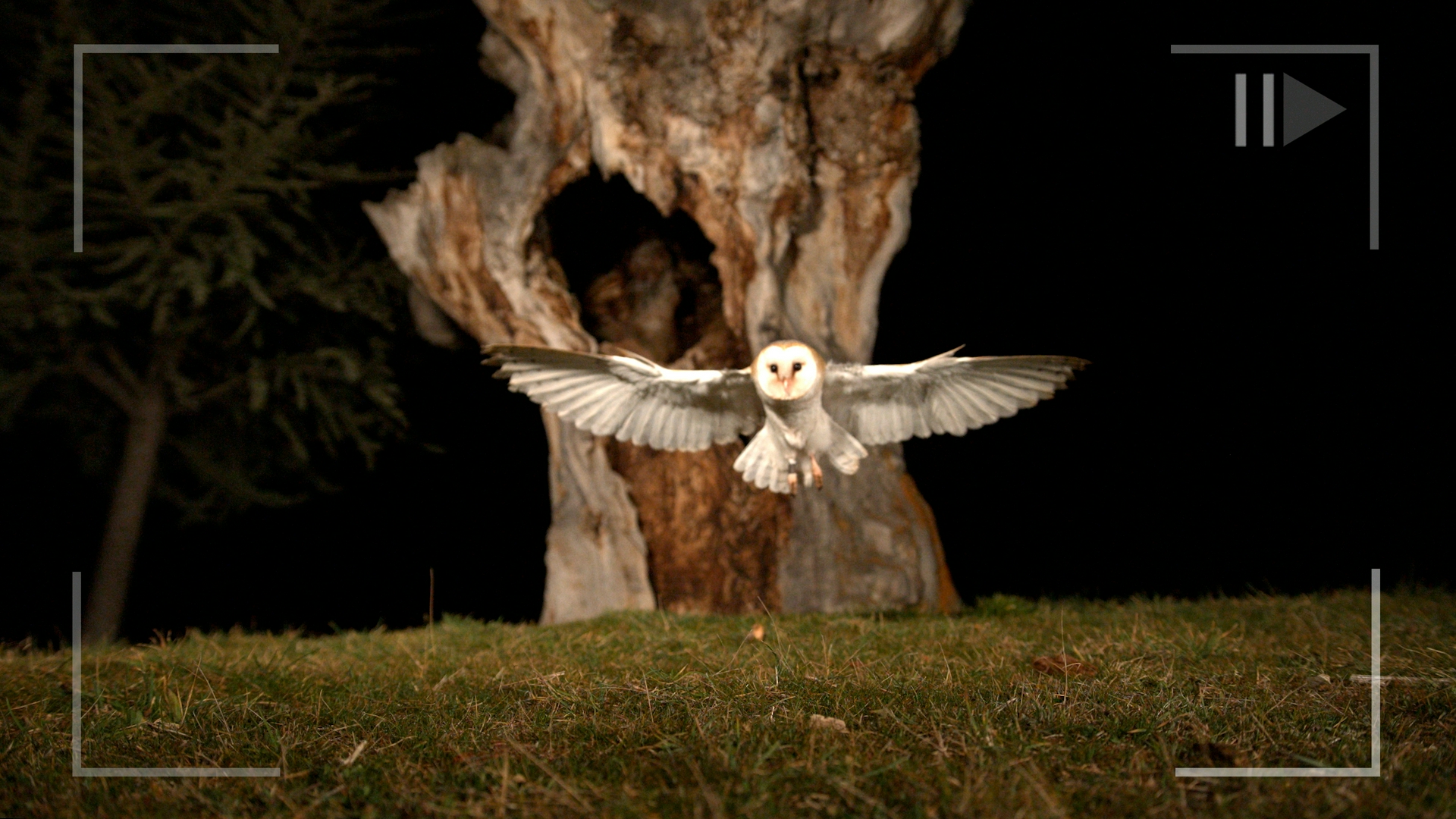 The Quick and the Slow