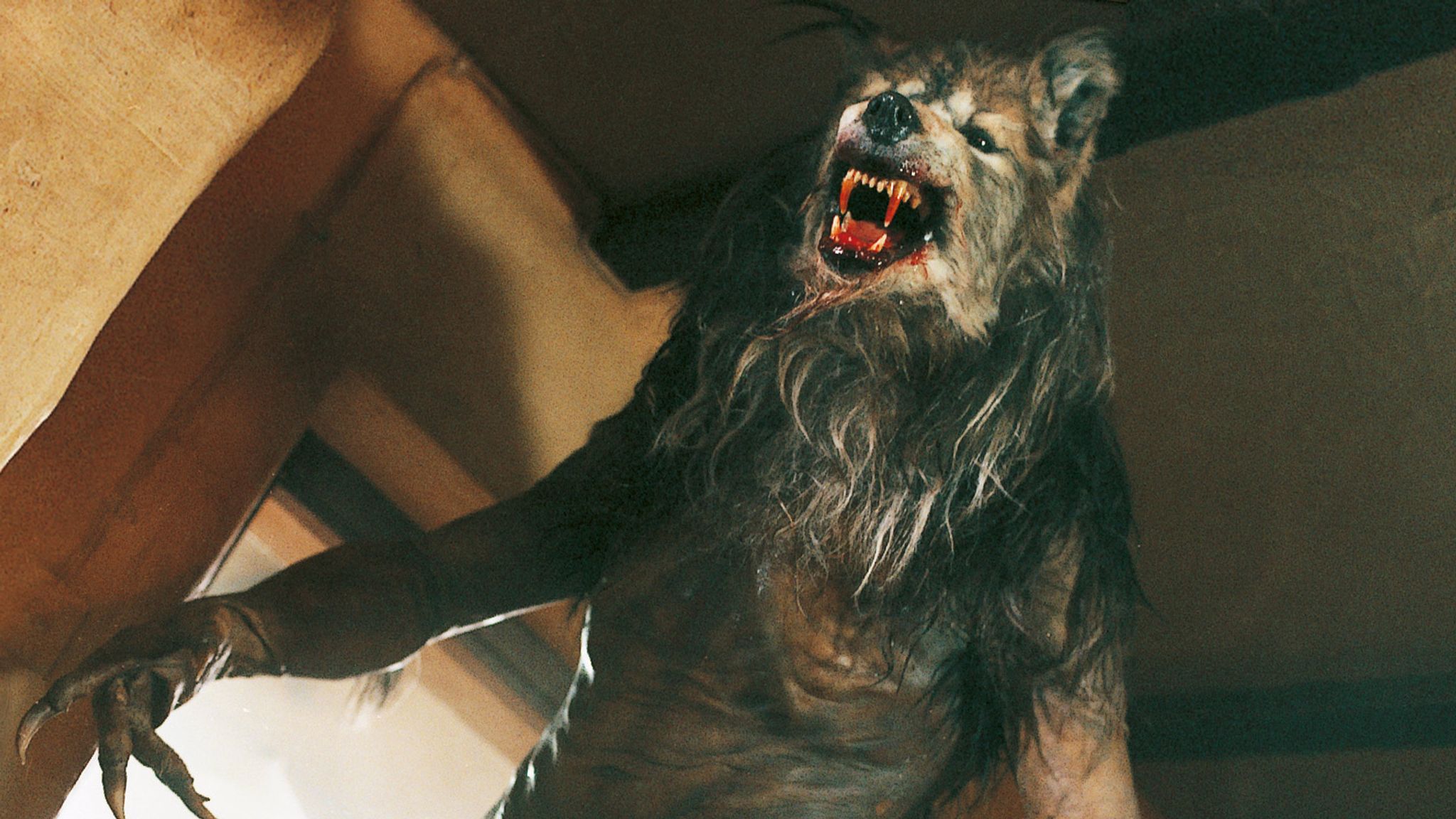 Dog Soldiers